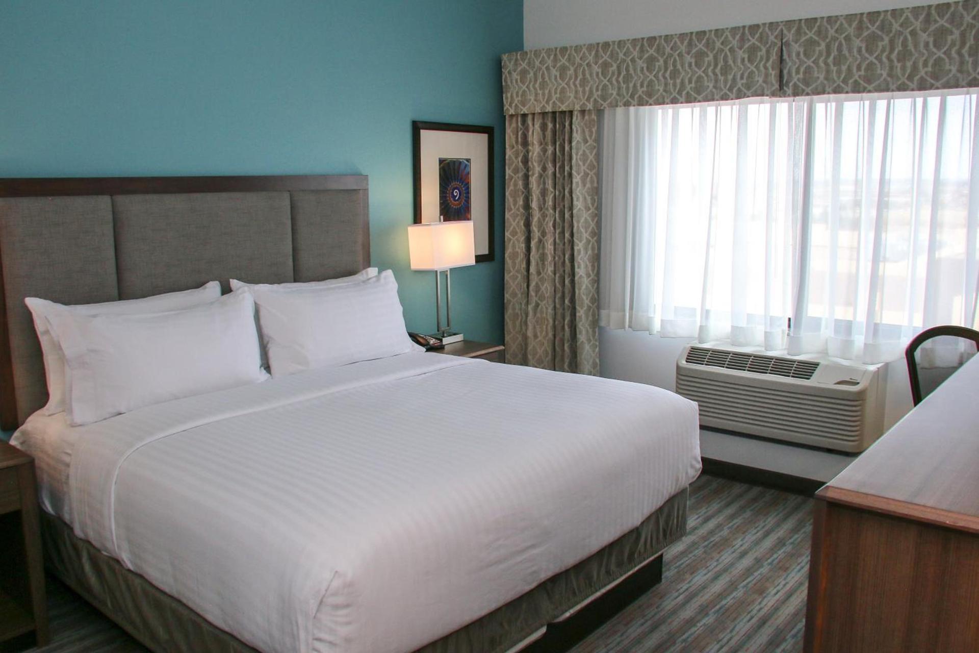 Holiday Inn & Suites Denver Tech Center-Centennial by IHG photo 85