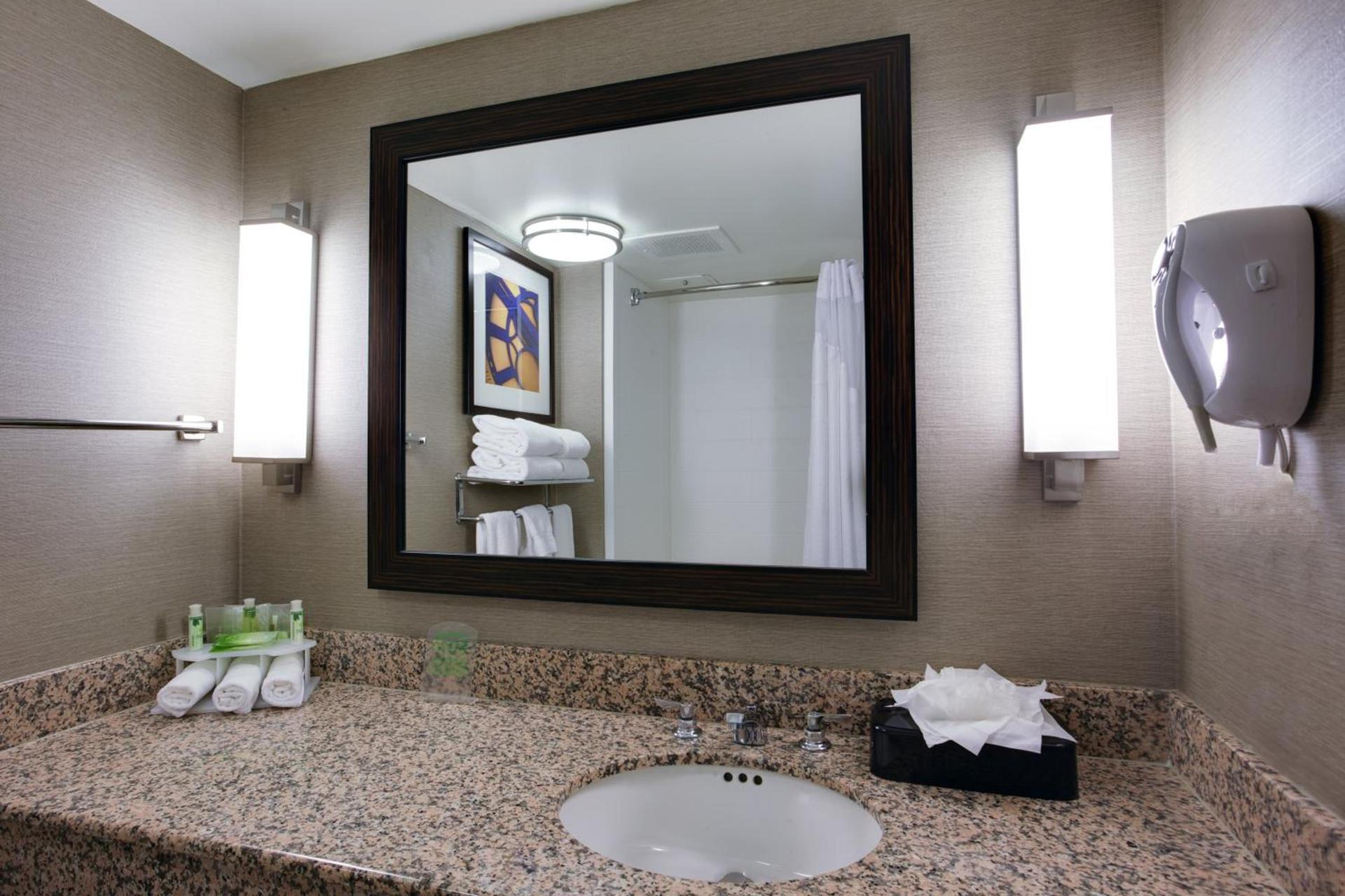Holiday Inn Express Hotel & Suites Meadowlands Area by IHG photo 35