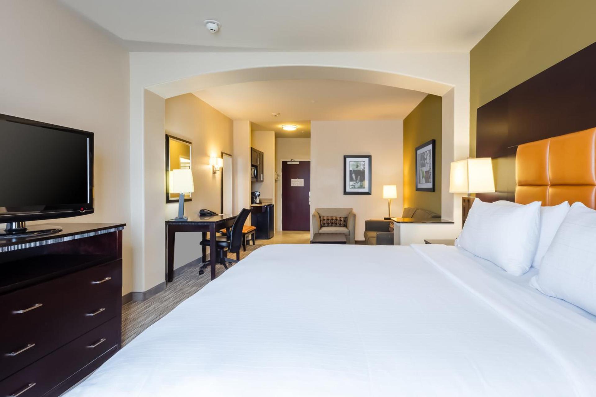 Holiday Inn Express Hotel & Suites Dallas West by IHG photo 49