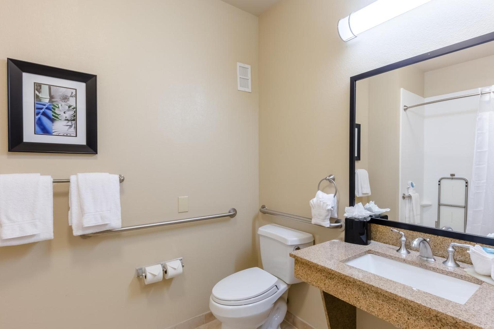 Holiday Inn Express Hotel & Suites Dallas West by IHG photo 15