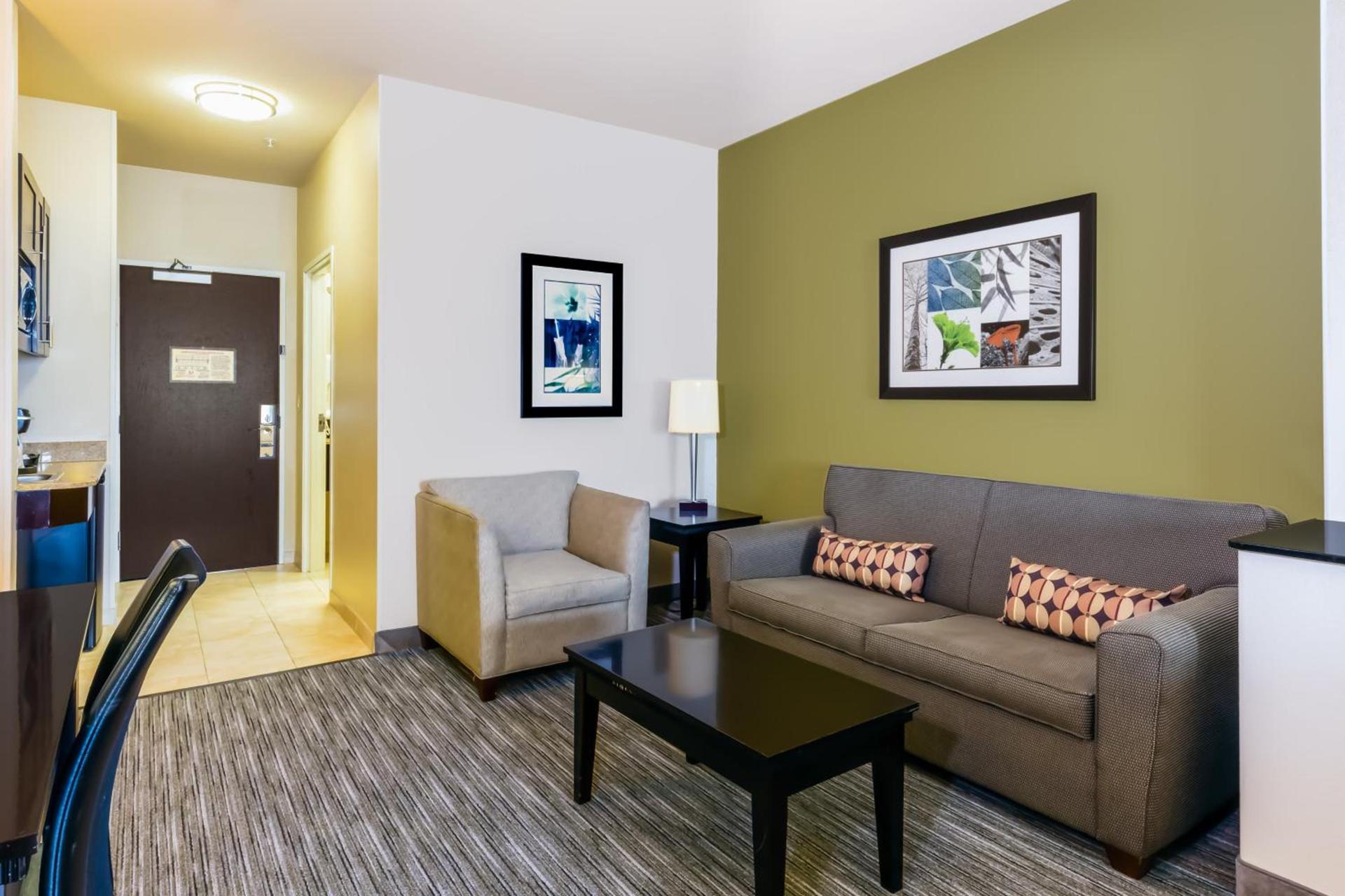 Holiday Inn Express Hotel & Suites Dallas West by IHG photo 26