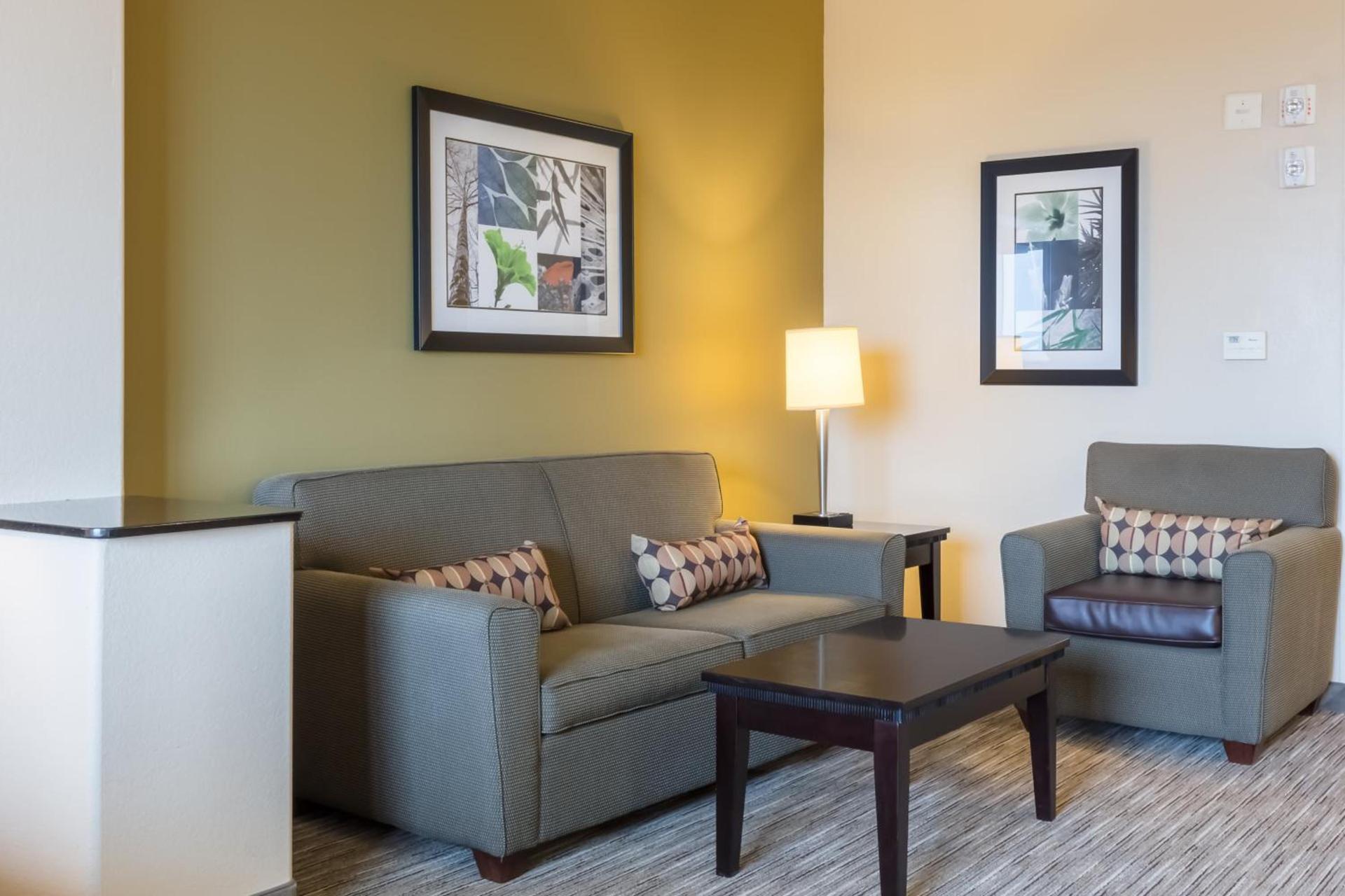 Holiday Inn Express Hotel & Suites Dallas West by IHG photo 16