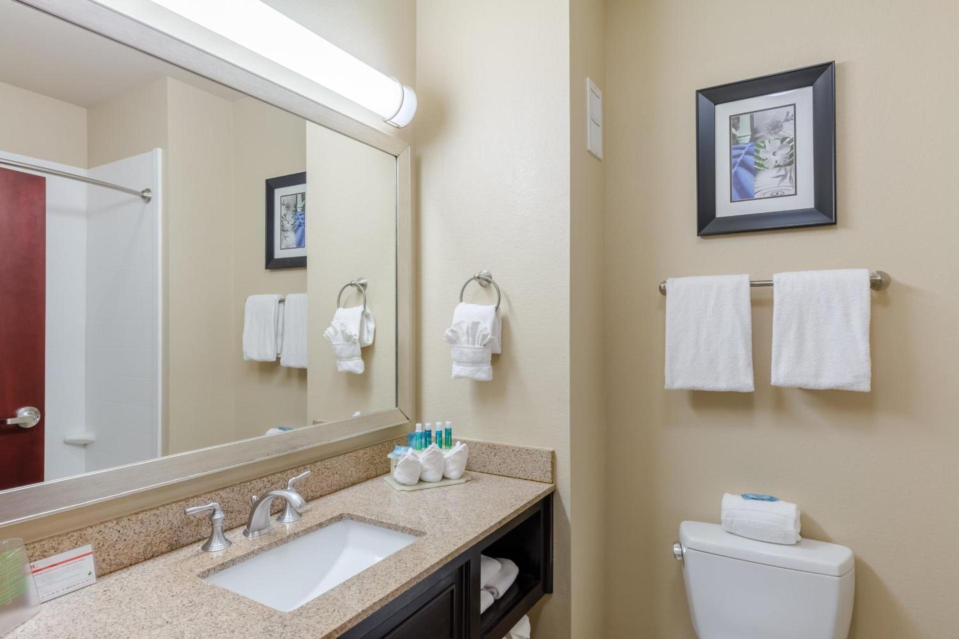 Holiday Inn Express Hotel & Suites Dallas West by IHG photo 32