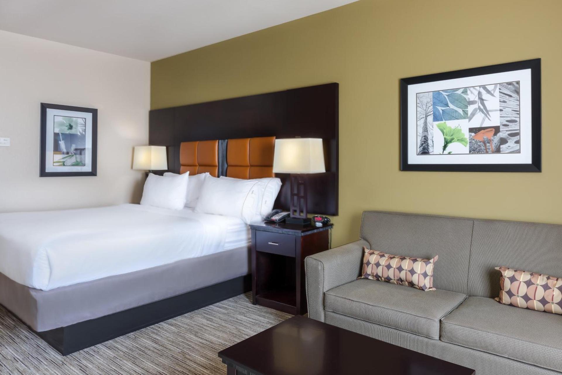 Holiday Inn Express Hotel & Suites Dallas West by IHG photo 34