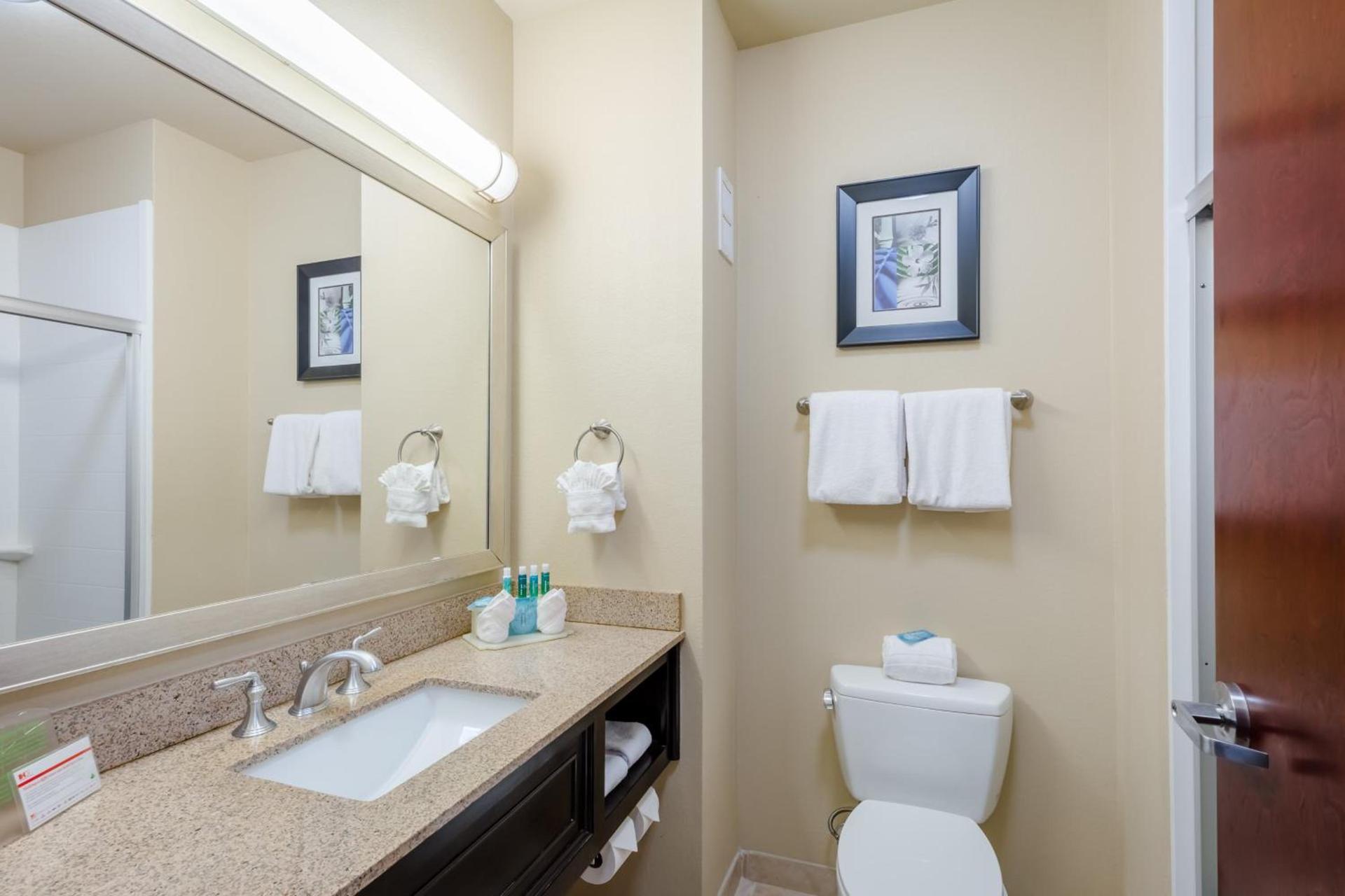 Holiday Inn Express Hotel & Suites Dallas West by IHG photo 25