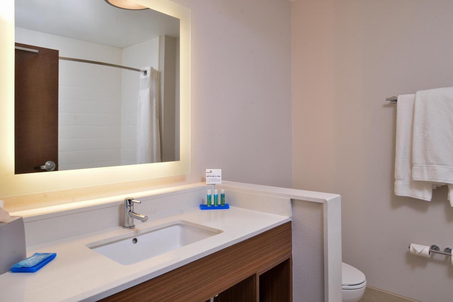 Holiday Inn Express & Suites - Van Horn by IHG photo 17