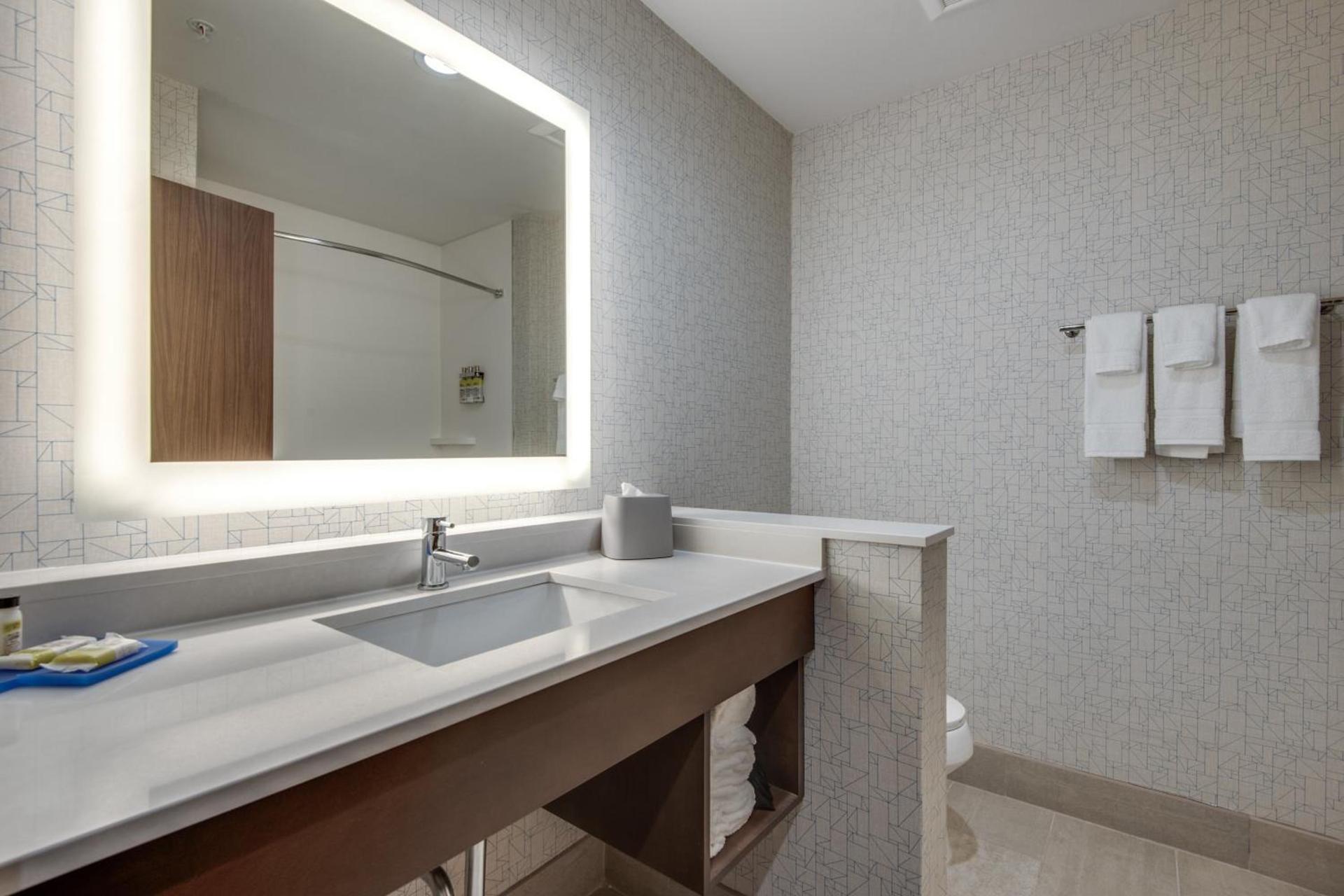 Holiday Inn Express & Suites Dallas North - Addison by IHG photo 60