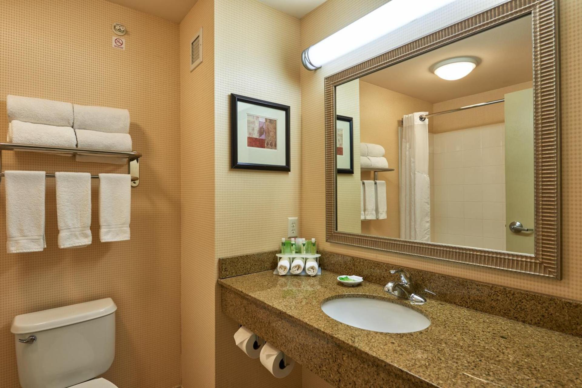 Holiday Inn Express & Suites El Paso Airport by IHG photo 19
