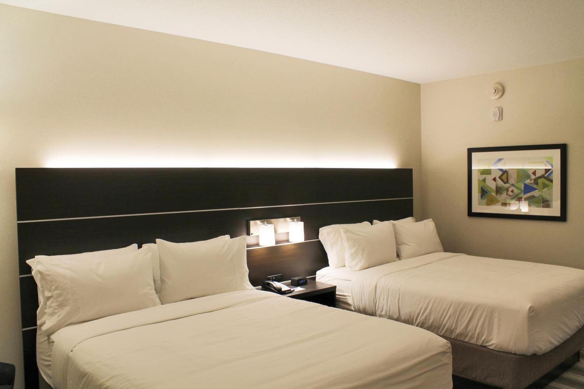 Holiday Inn Express & Suites - St. Louis South - I-55 by IHG photo 38