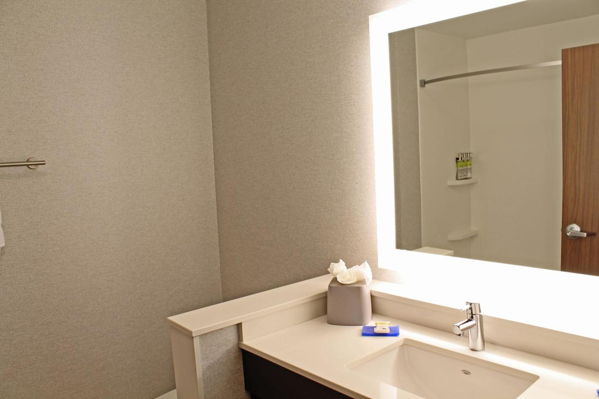 Holiday Inn Express & Suites - St. Louis South - I-55 by IHG photo 41