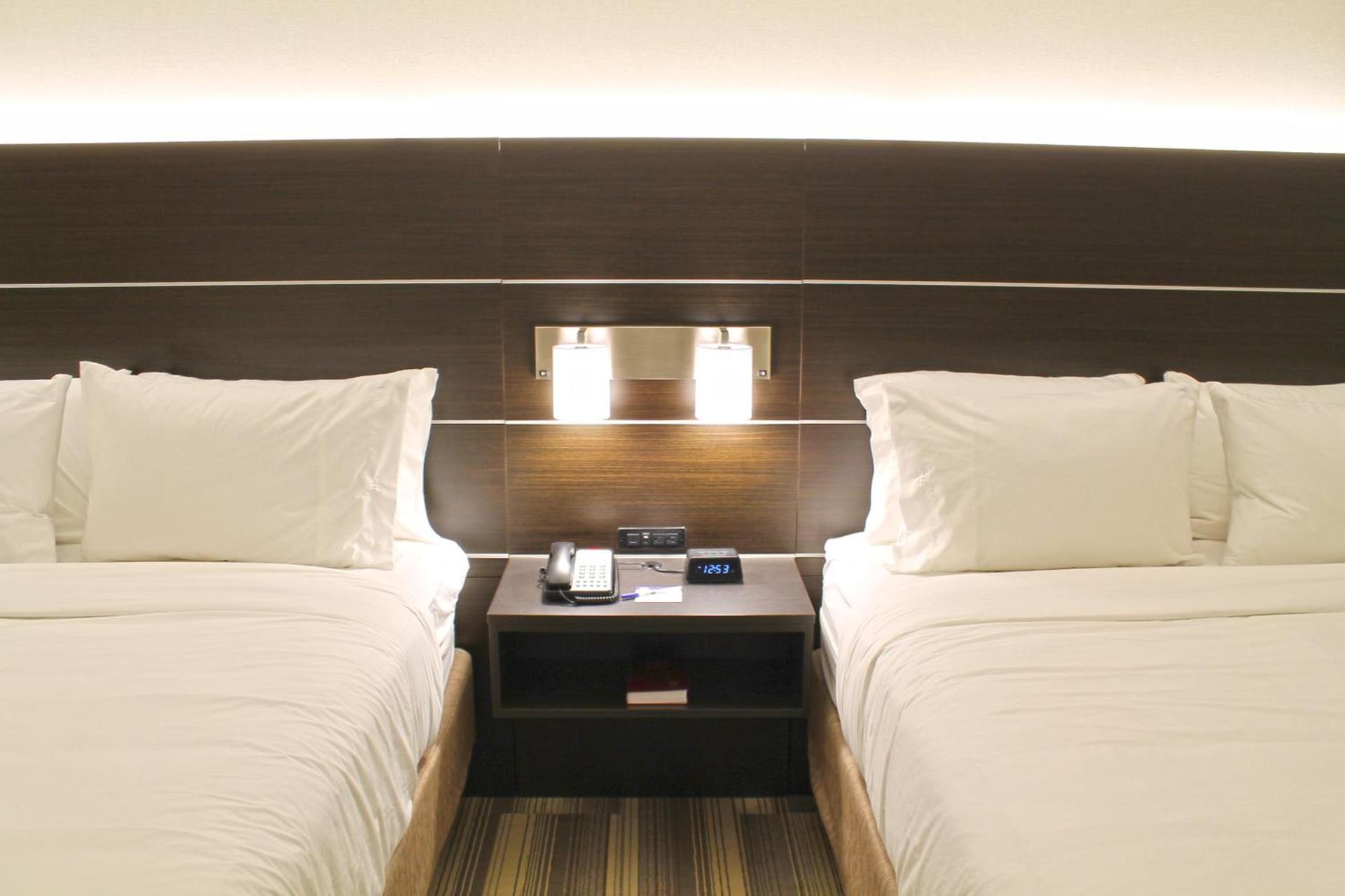 Holiday Inn Express & Suites - St. Louis South - I-55 by IHG photo 33