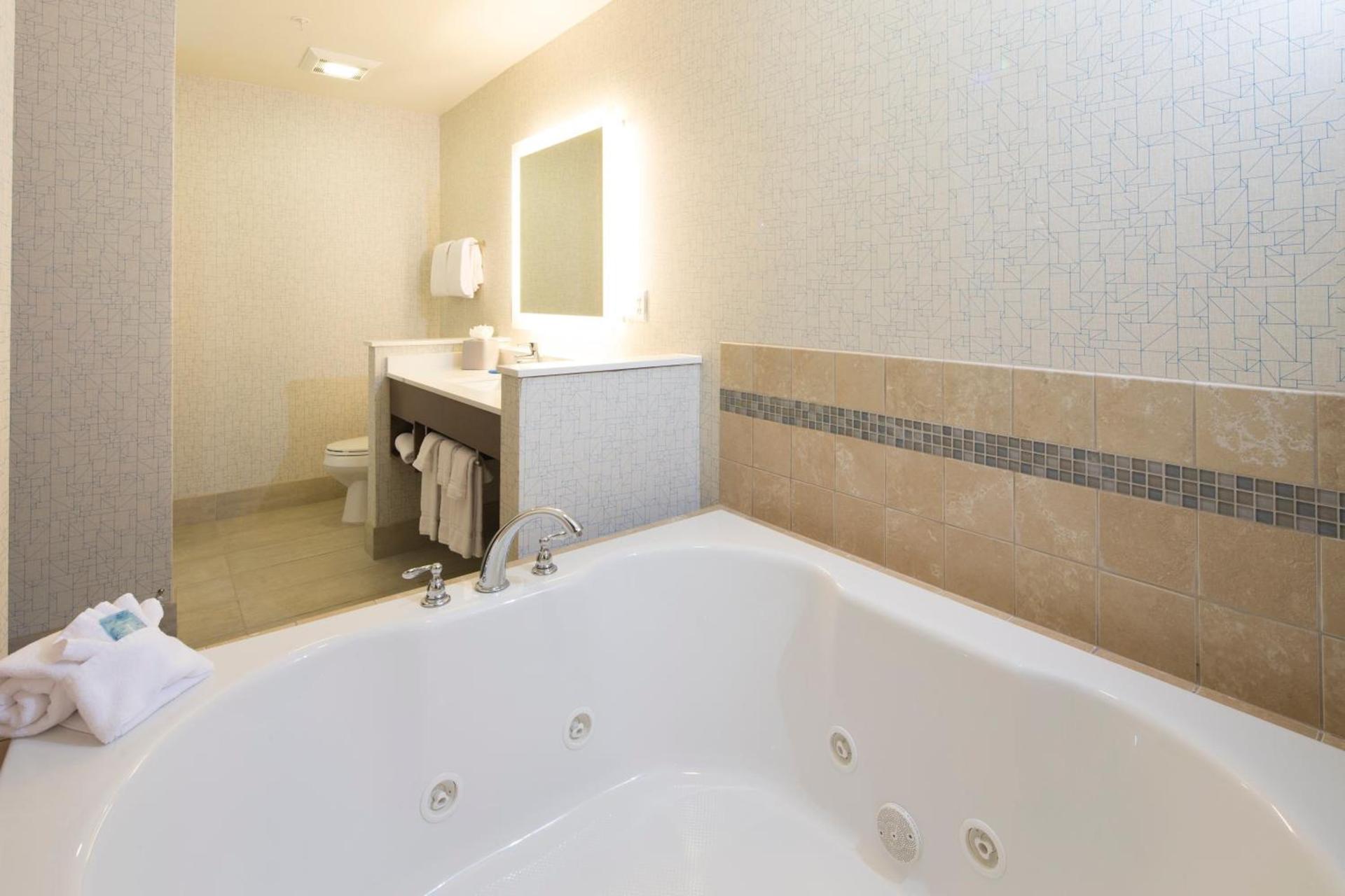 Holiday Inn Express & Suites La Porte by IHG photo 32