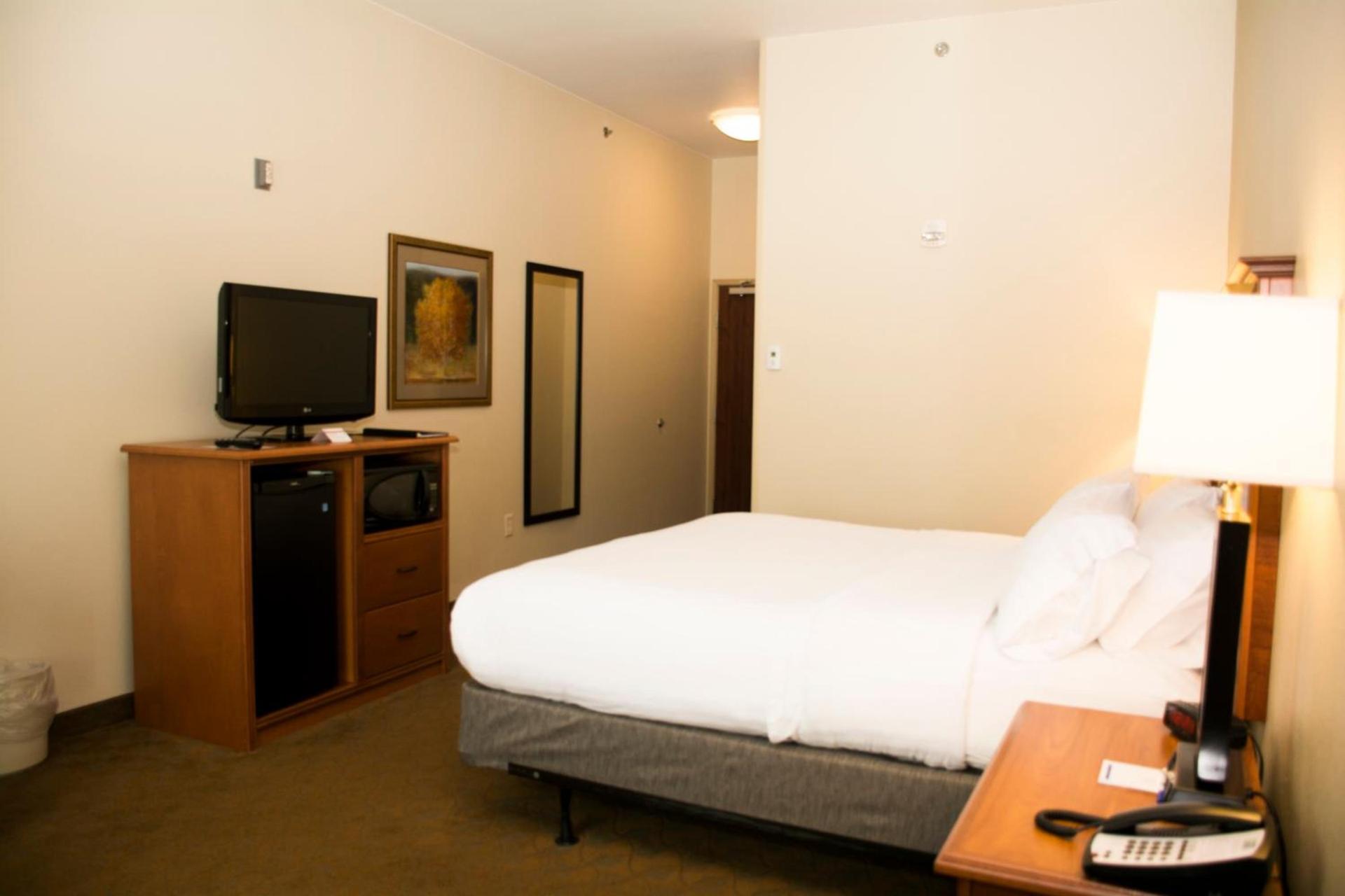 Holiday Inn Express & Suites - Mason City by IHG photo 28