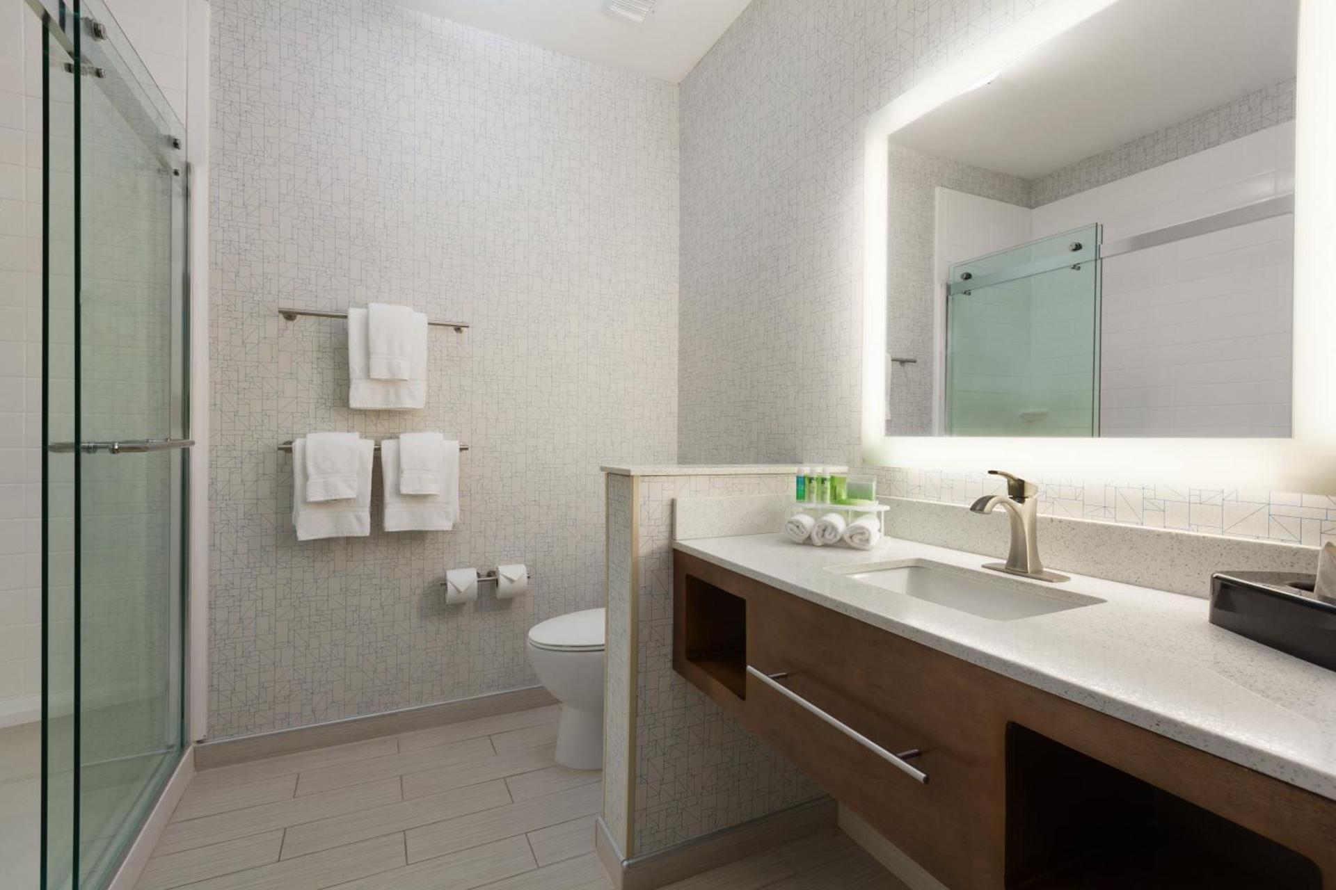Holiday Inn Express & Suites Edinburg- Mcallen Area by IHG photo 28