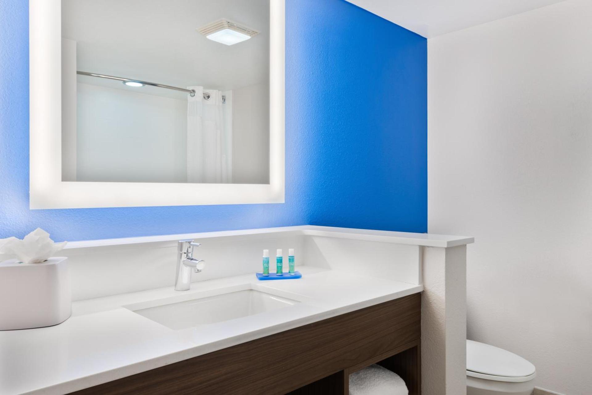 Holiday Inn Express & Suites - Nearest Universal Orlando by IHG photo 42
