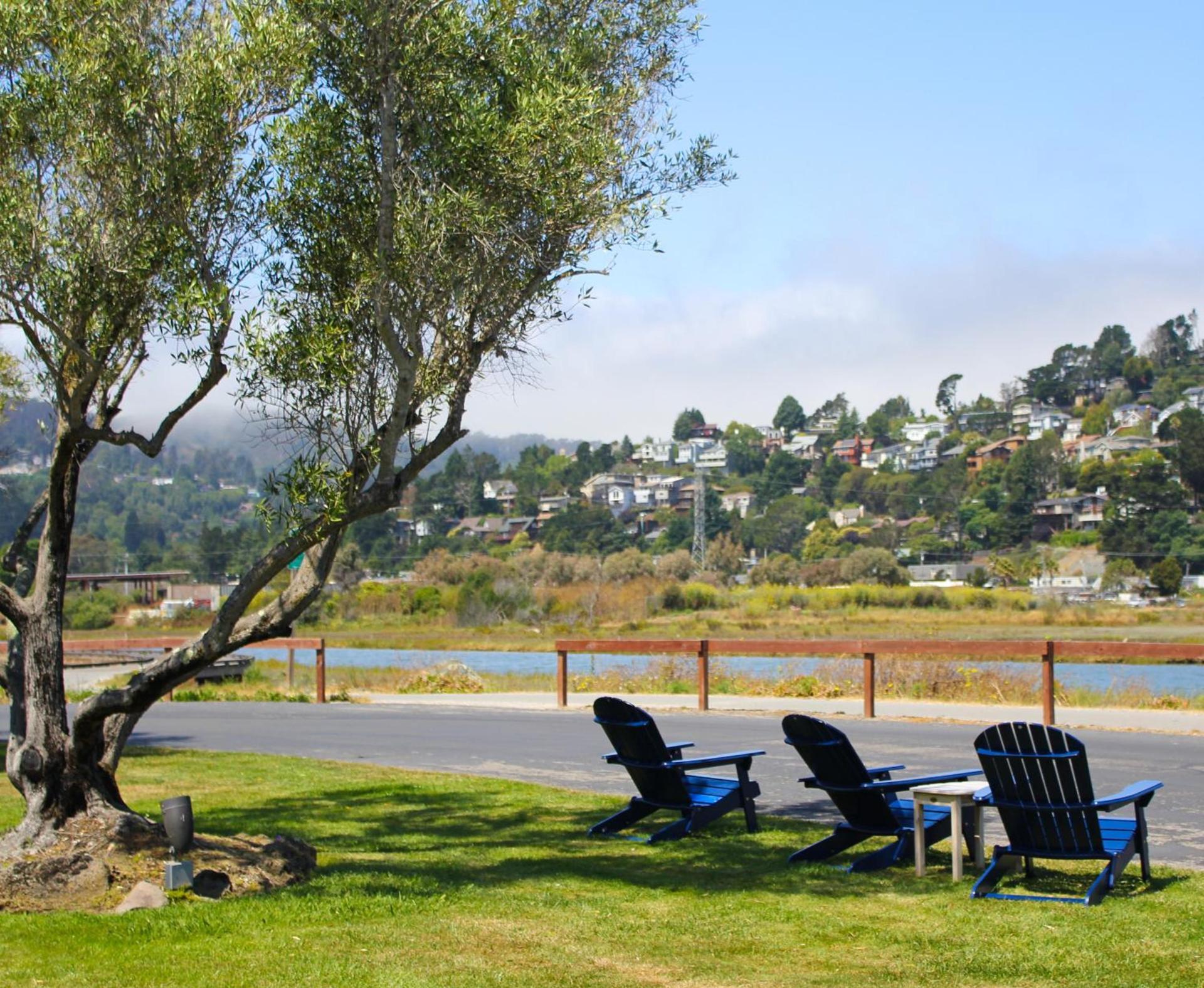 Holiday Inn Express Mill Valley San Francisco Area by IHG photo 30