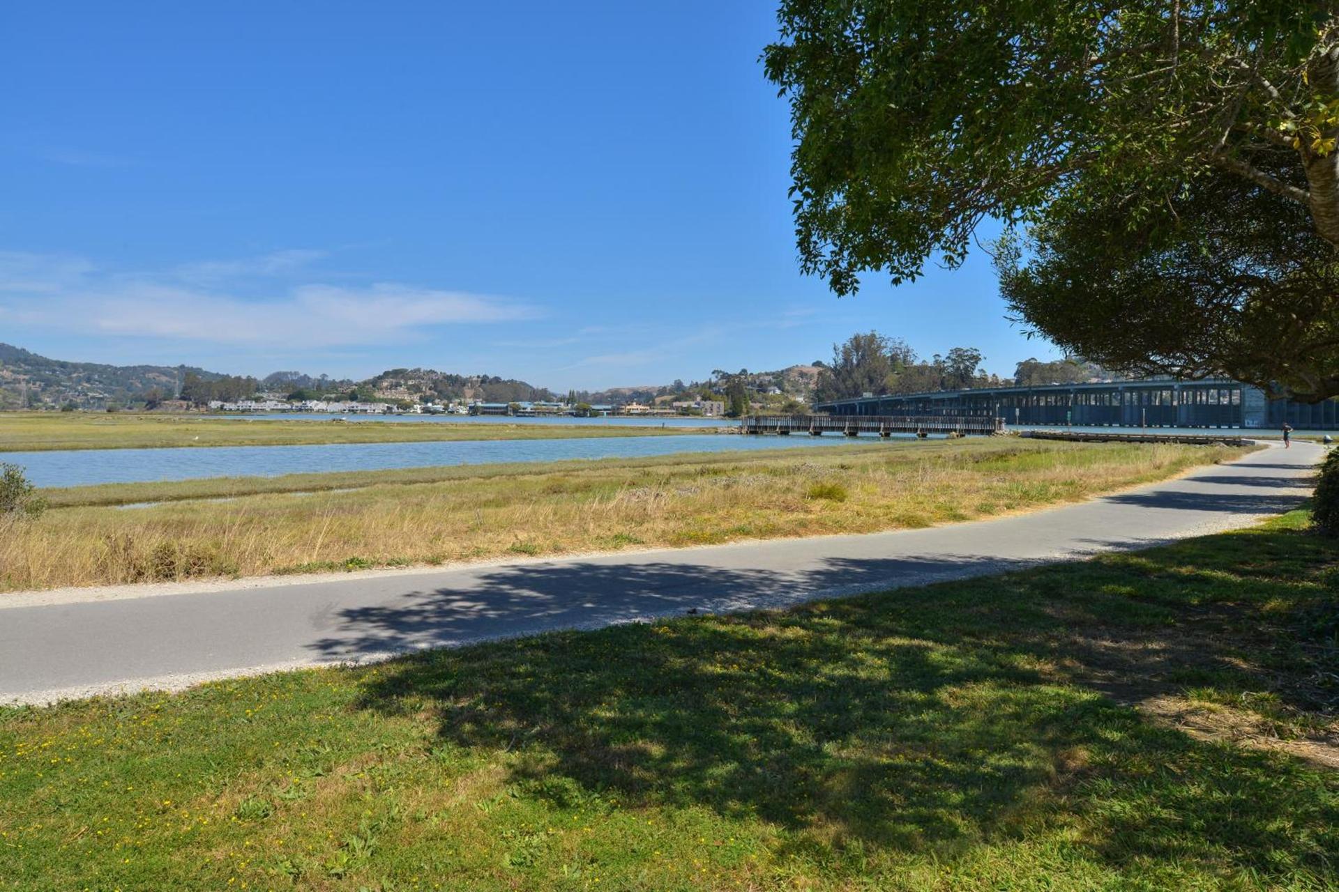 Holiday Inn Express Mill Valley San Francisco Area by IHG photo 6