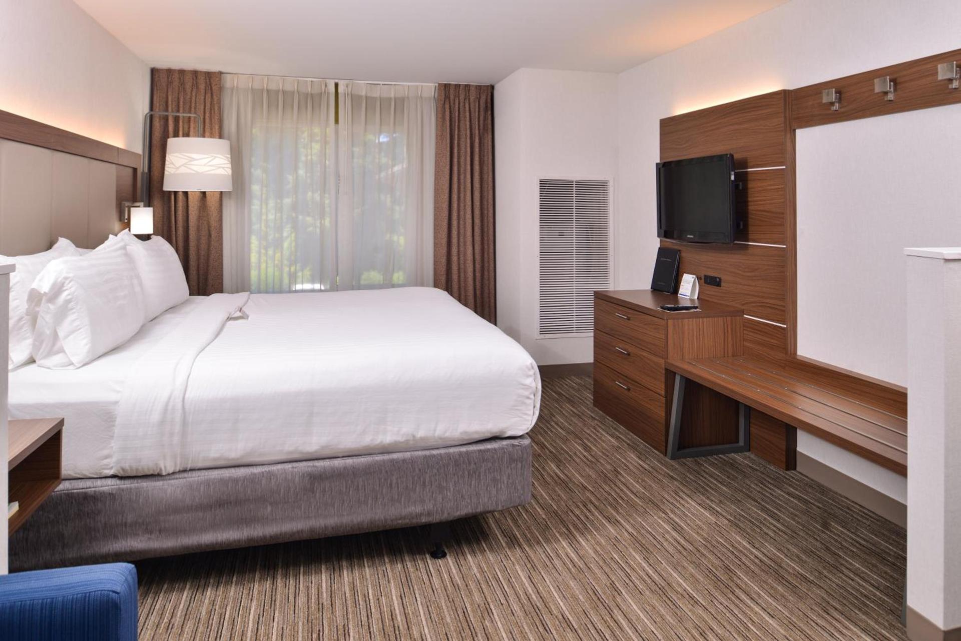 Holiday Inn Express & Suites Lacey - Olympia by IHG photo 9