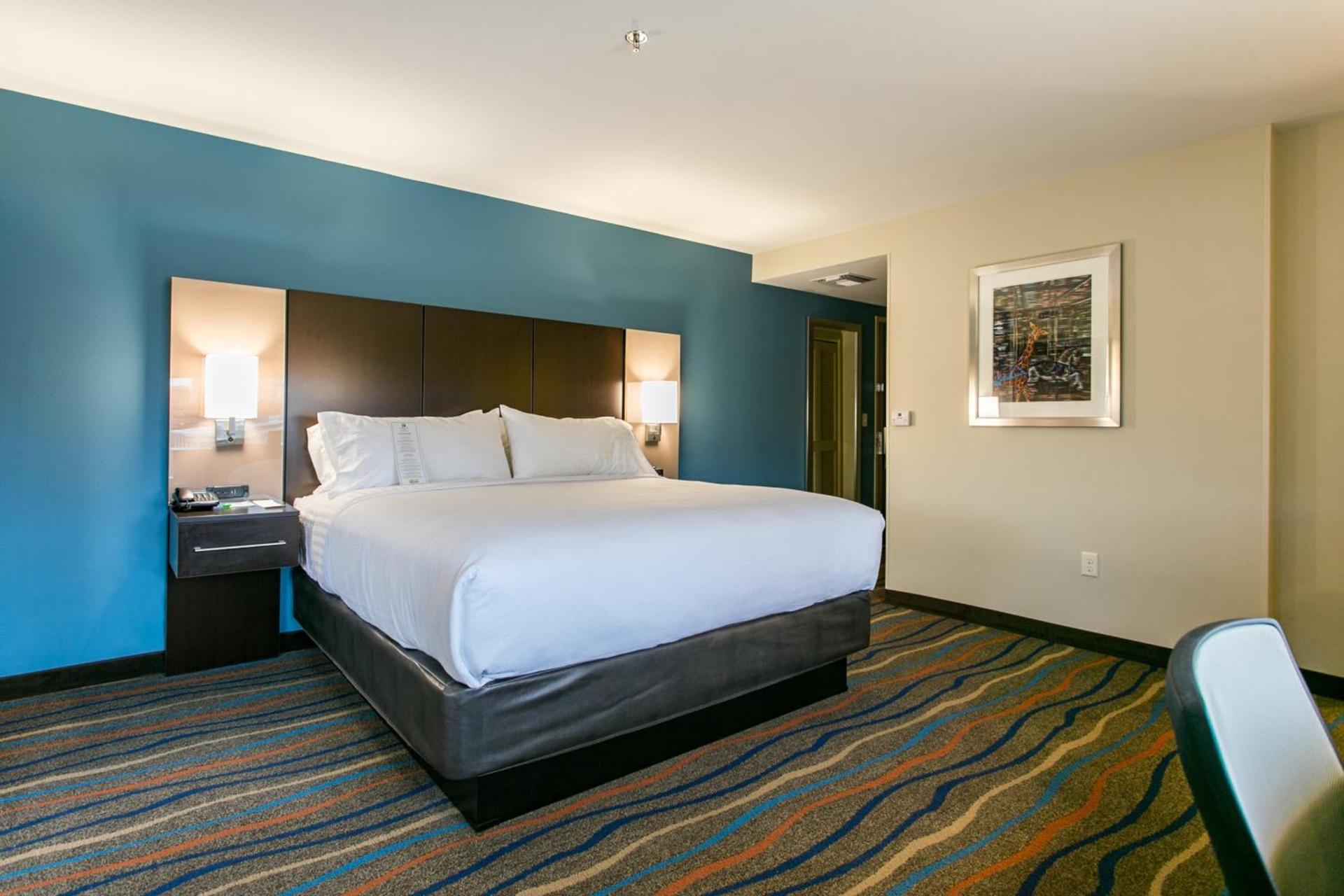 Holiday Inn & Suites Chattanooga Downtown by IHG photo 25