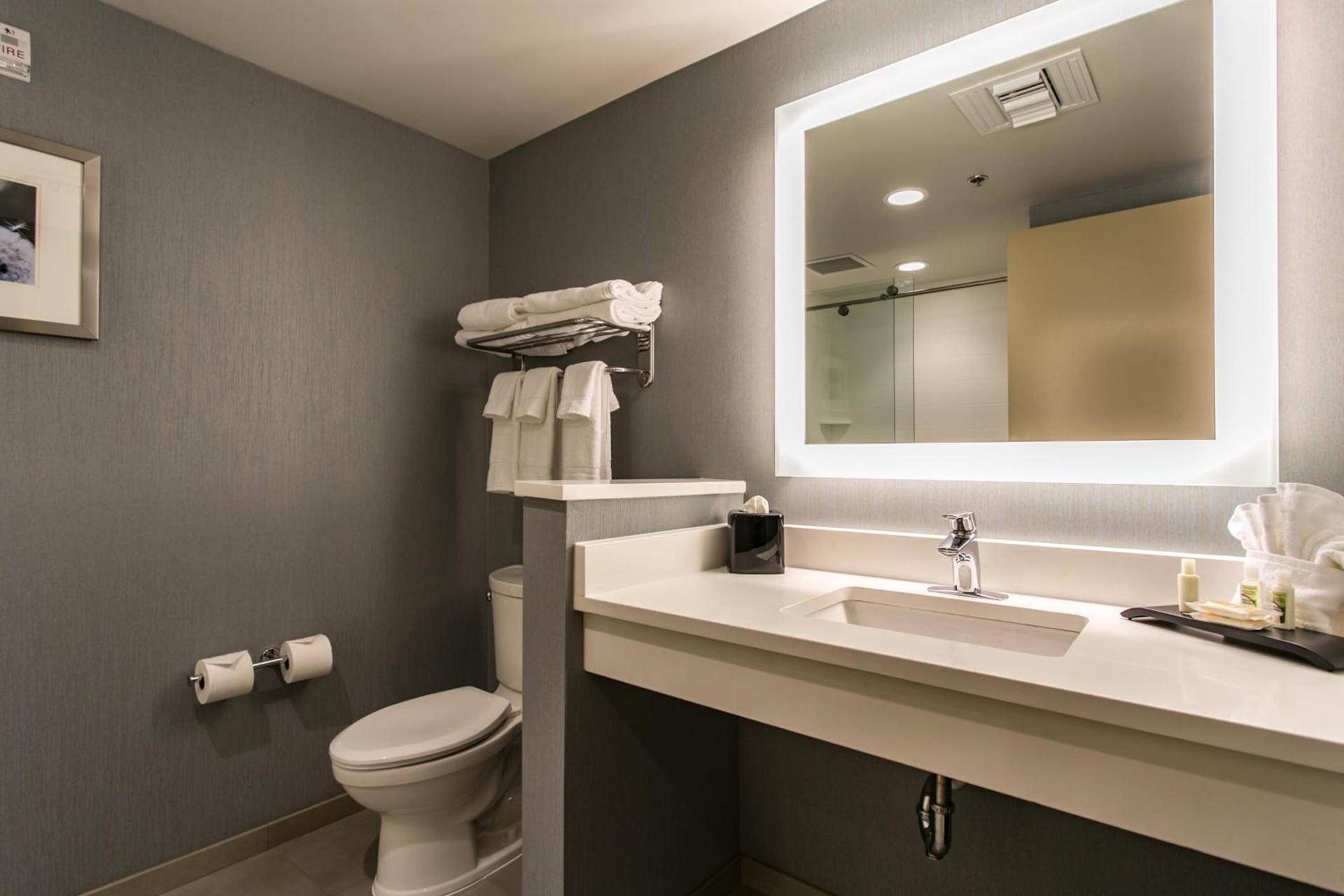 Holiday Inn & Suites Chattanooga Downtown by IHG photo 47