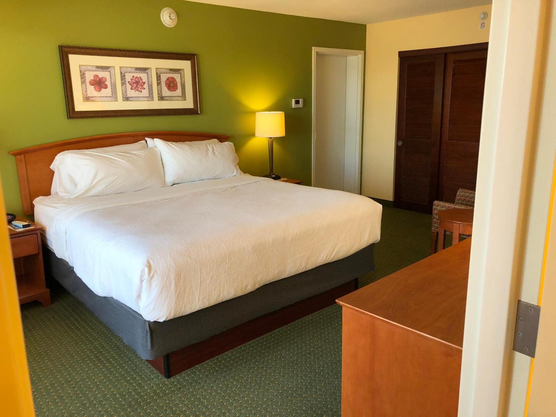 Holiday Inn & Suites Clearwater Beach by IHG photo 63