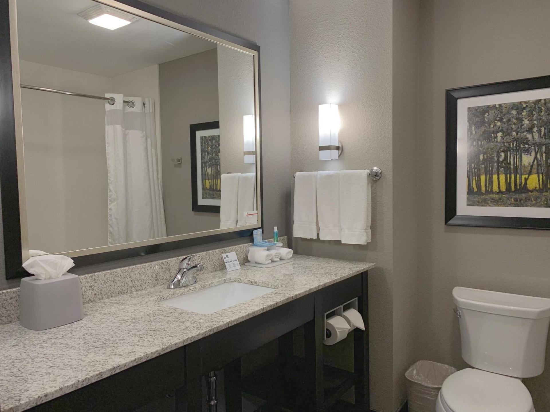 Holiday Inn Express and Suites Madison Central by IHG photo 22