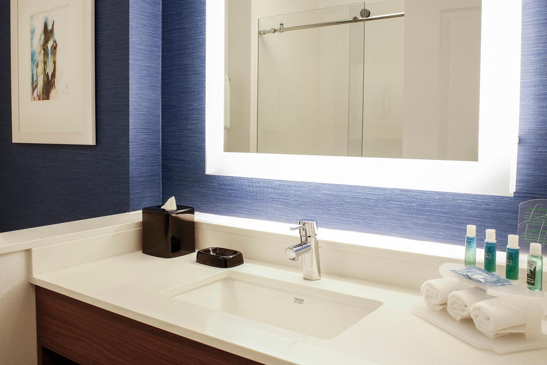 Holiday Inn Express & Suites Downtown Louisville by IHG photo 17