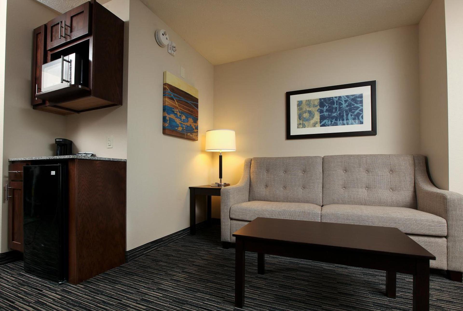 Holiday Inn Express & Suites Omaha South Ralston Arena by IHG photo 12
