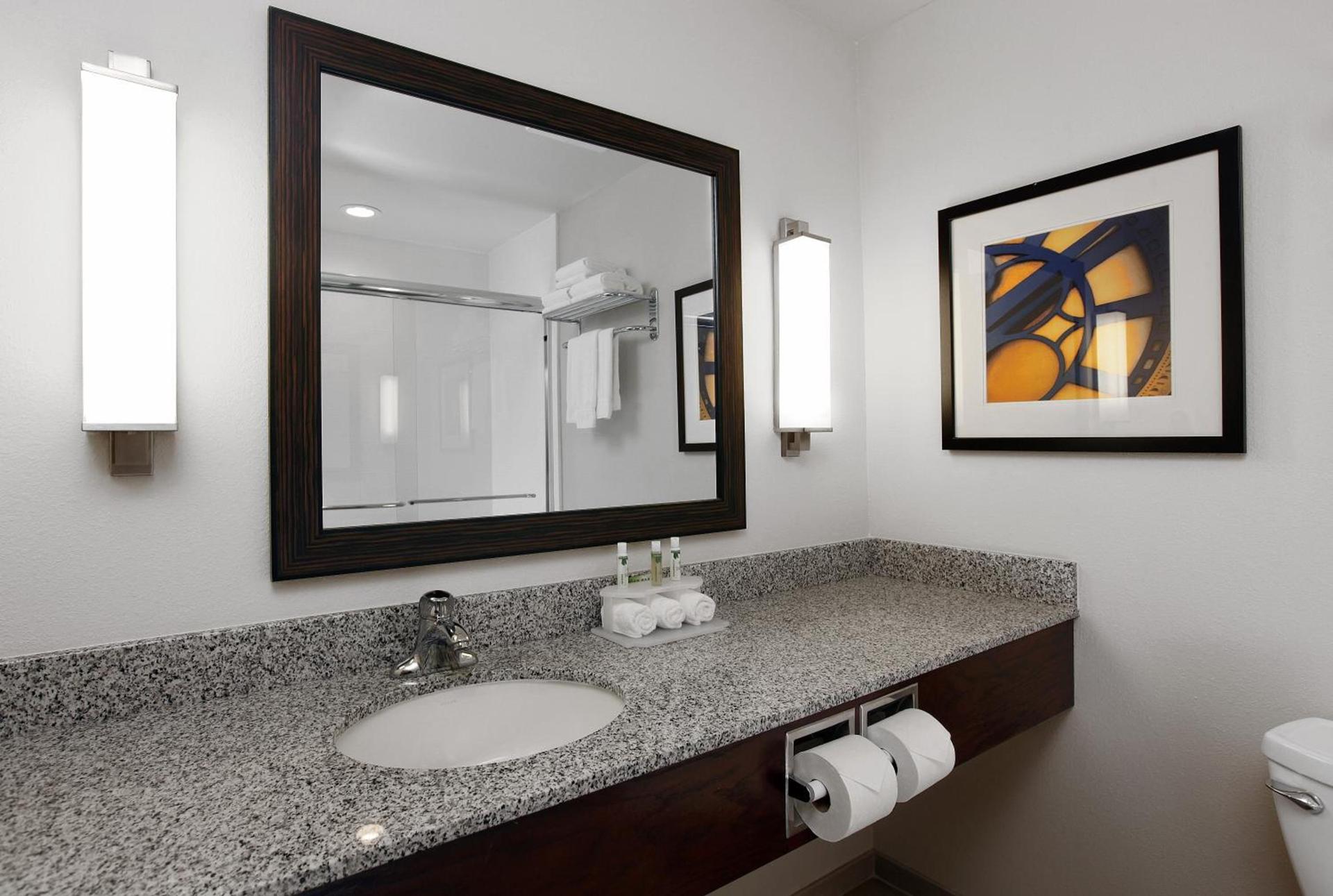 Holiday Inn Express & Suites Omaha South Ralston Arena by IHG photo 26