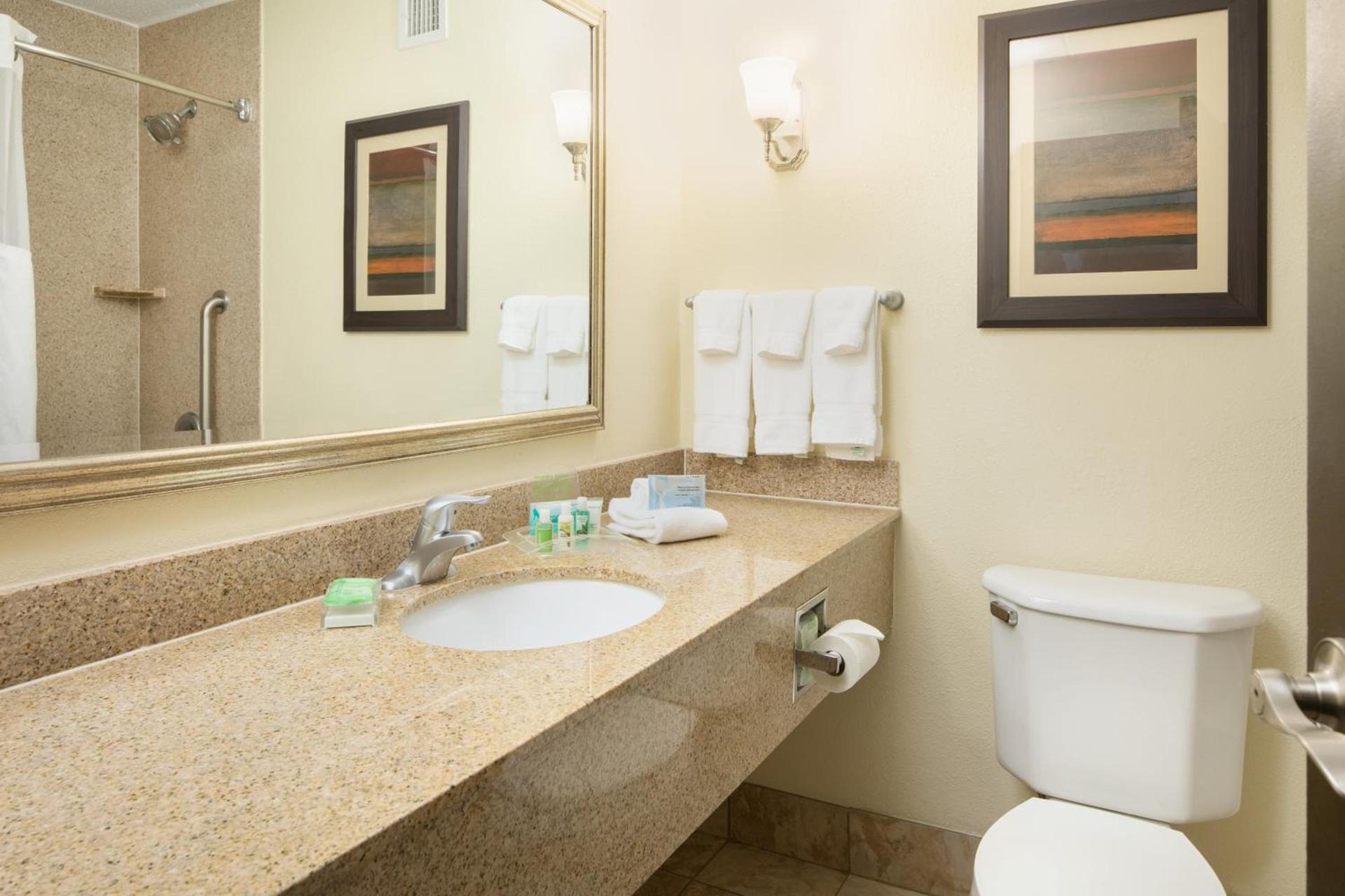 Holiday Inn and Suites Charleston West by IHG photo 27