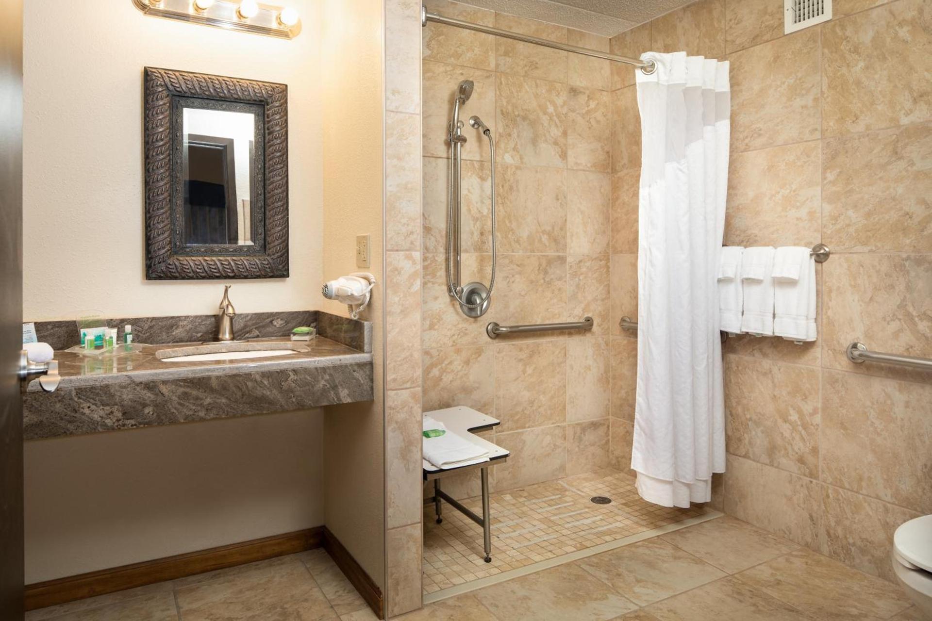 Holiday Inn and Suites Charleston West by IHG photo 25