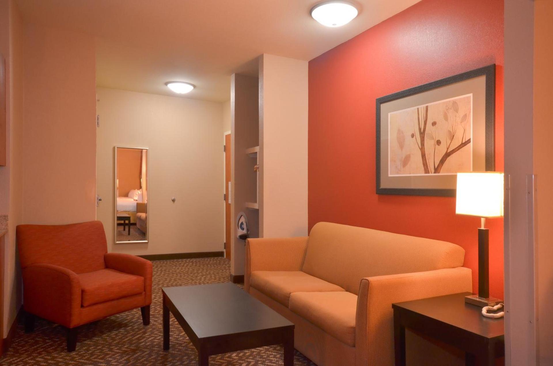 Holiday Inn Express & Suites Pine Bluff/Pines Mall by IHG photo 32