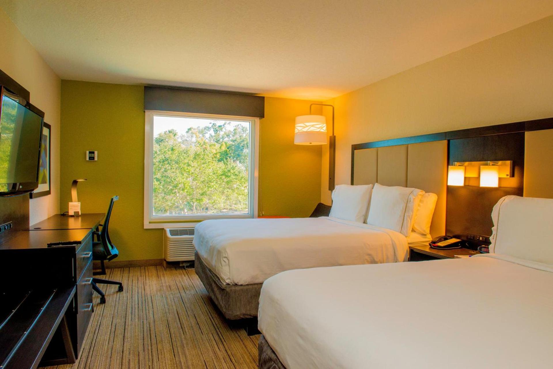 Holiday Inn Express St. Petersburg North / I-275 by IHG photo 7