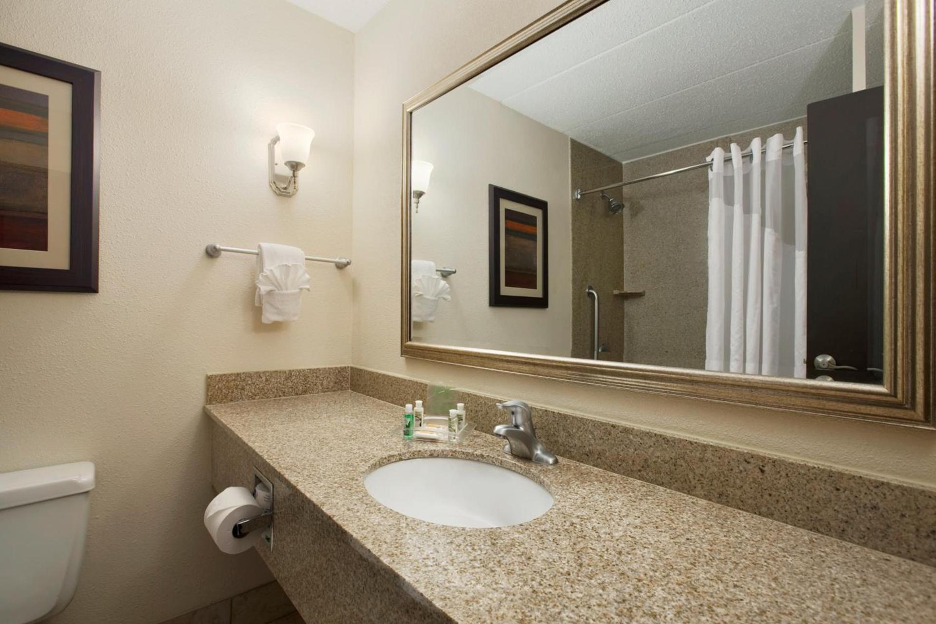 Holiday Inn and Suites Charleston West by IHG photo 12