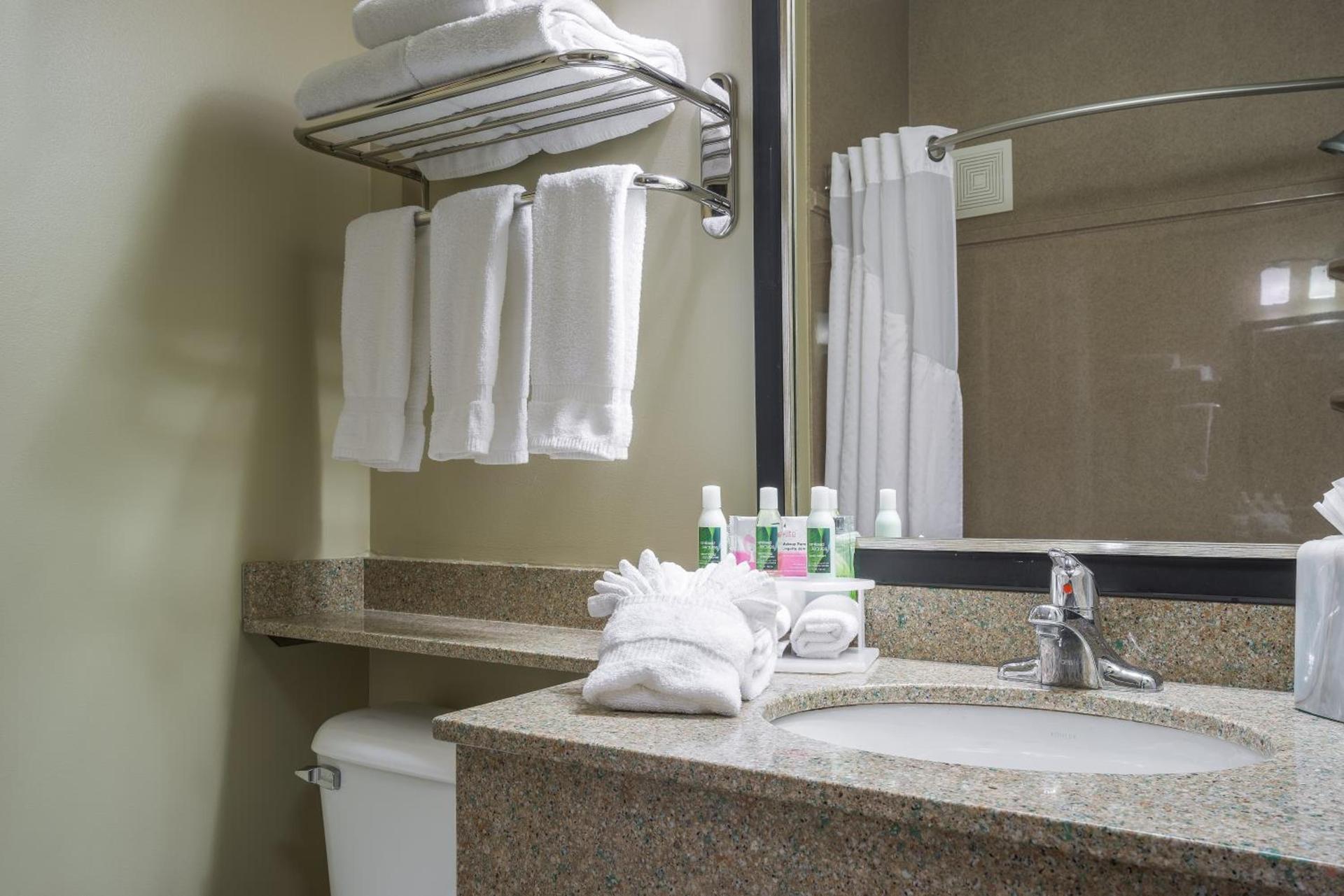 Holiday Inn Express Hotel & Suites St. Paul - Woodbury by IHG photo 6