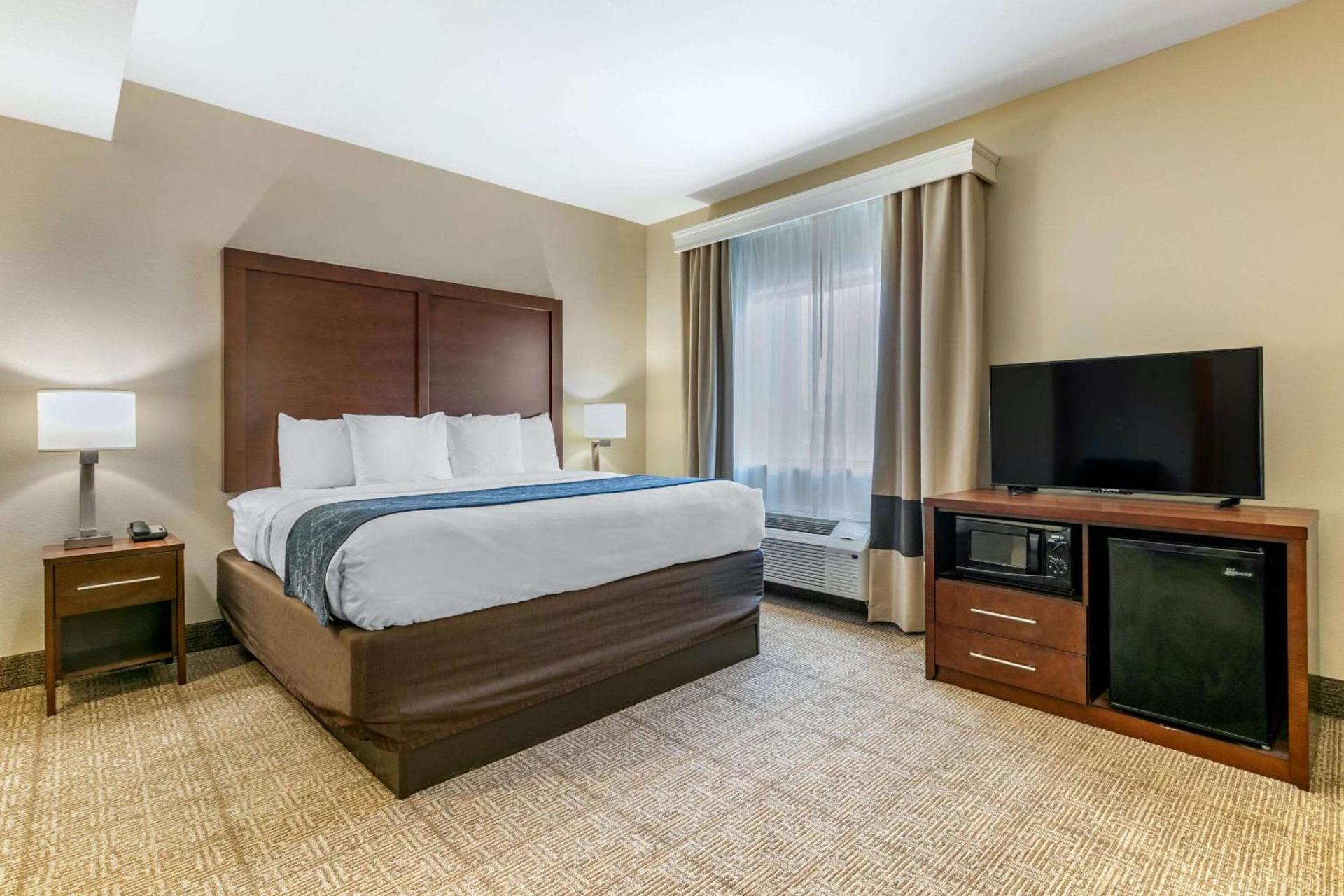 Comfort Suites Batesville photo 21