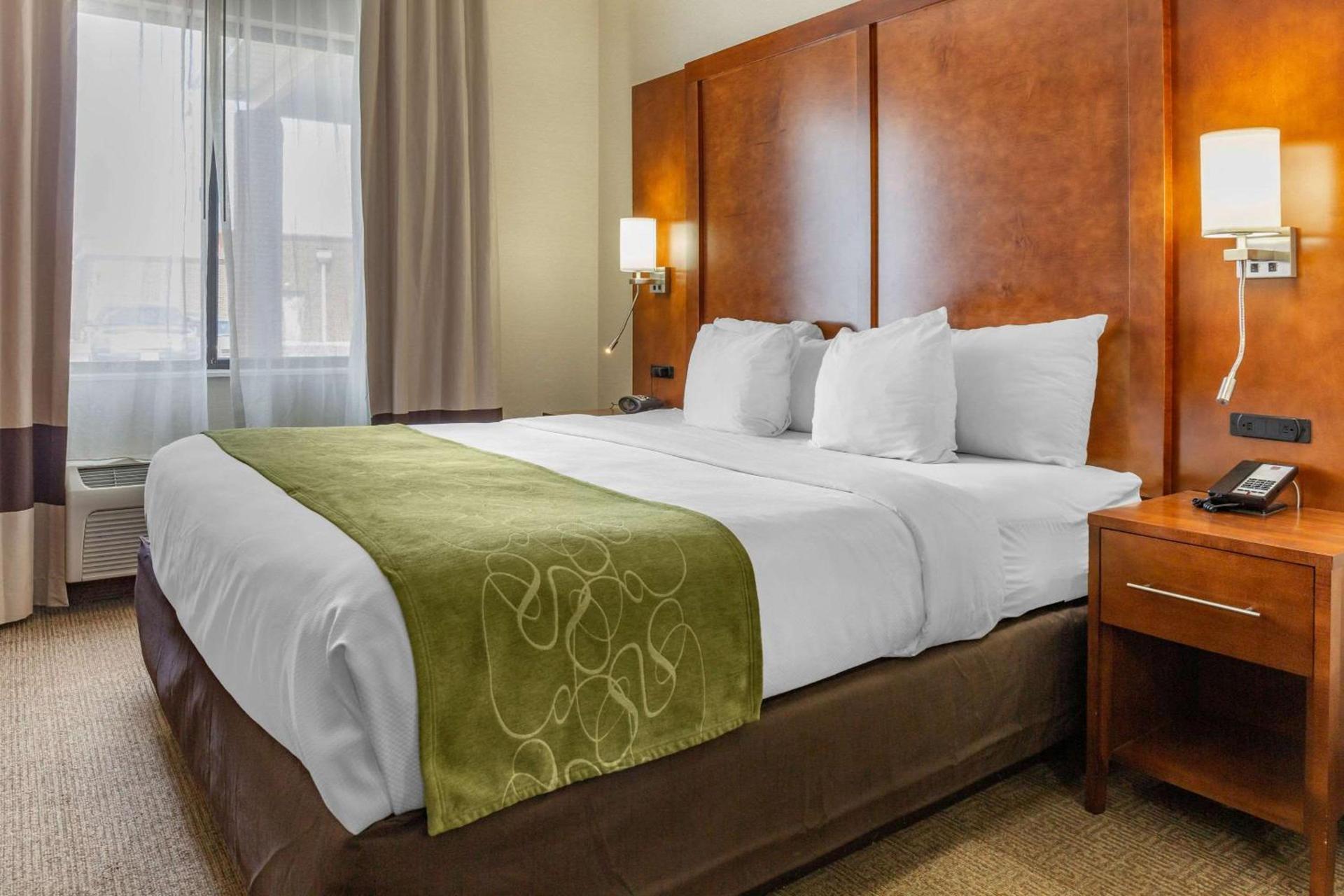 Comfort Suites Dover University Area photo 13