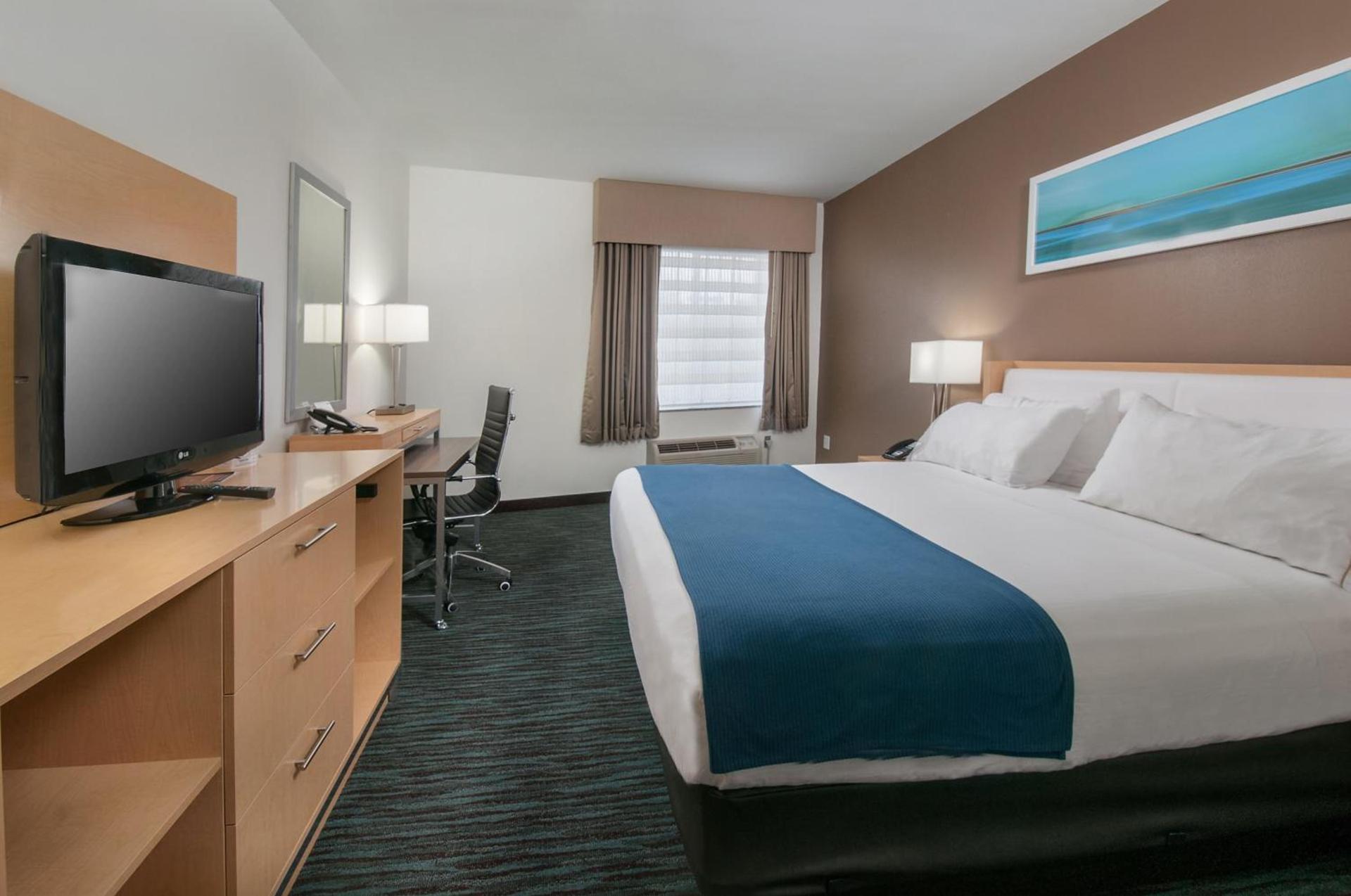 Holiday Inn Express Hotel & Suites San Antonio - Rivercenter Area by IHG photo 48