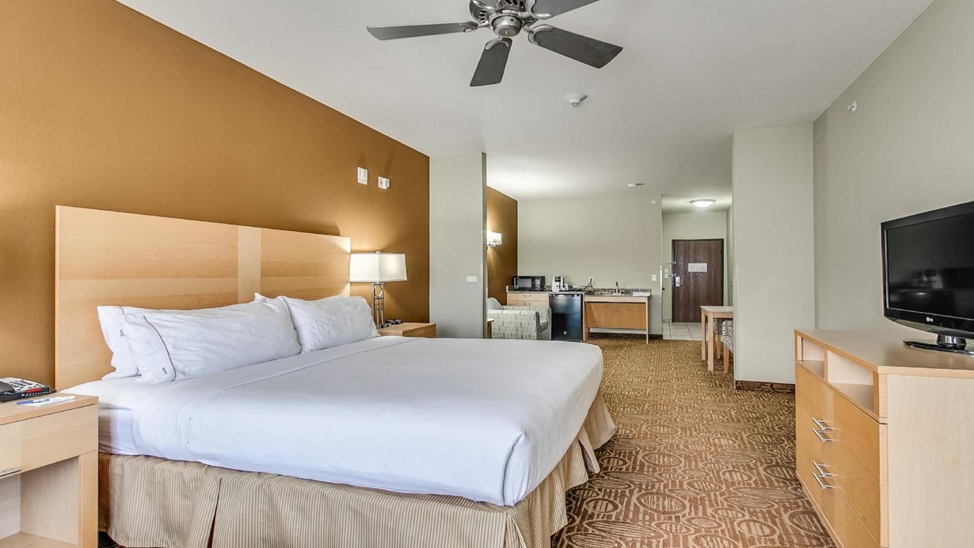 Holiday Inn Express & Suites Lubbock Southwest – Wolfforth by IHG photo 43