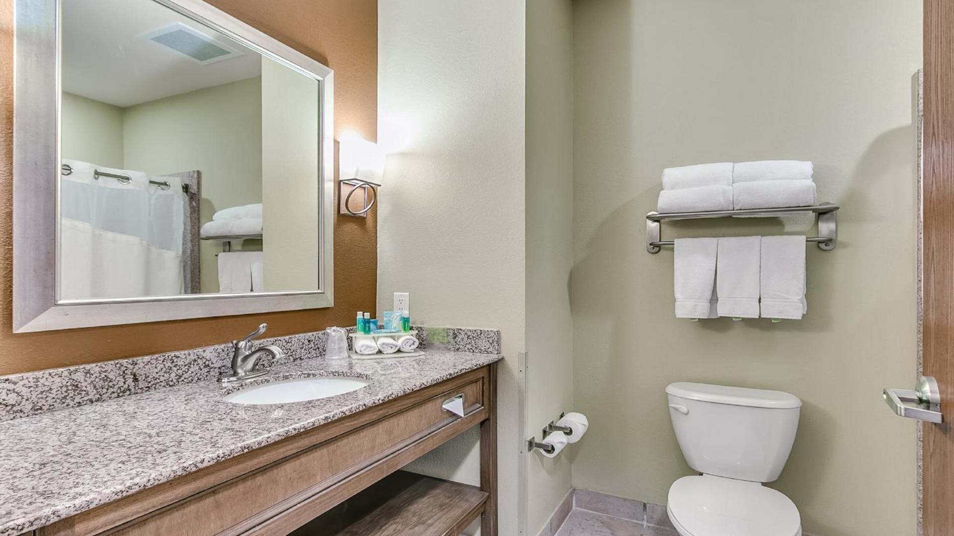 Holiday Inn Express & Suites Lubbock Southwest – Wolfforth by IHG photo 30