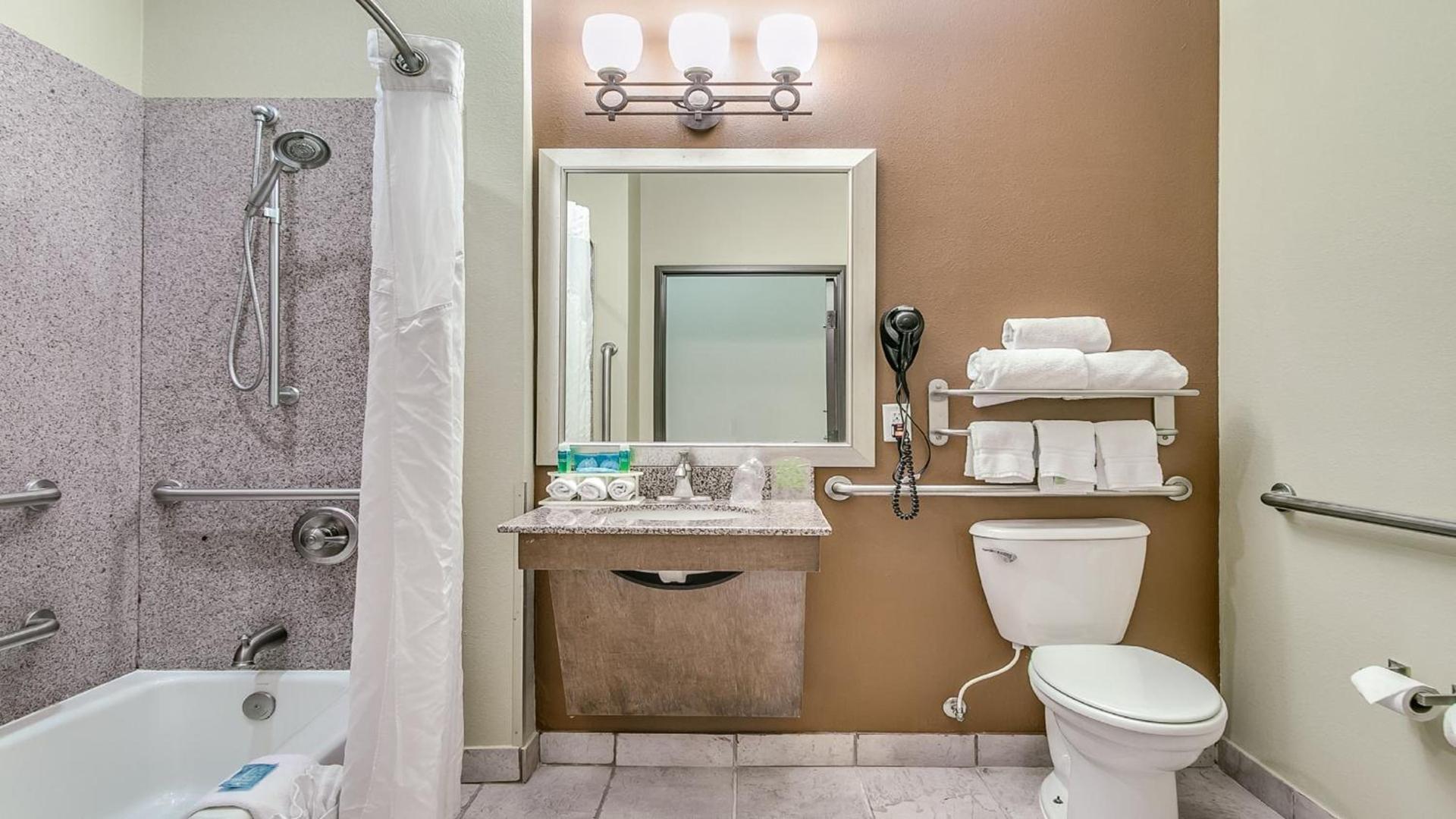 Holiday Inn Express & Suites Lubbock Southwest – Wolfforth by IHG photo 27