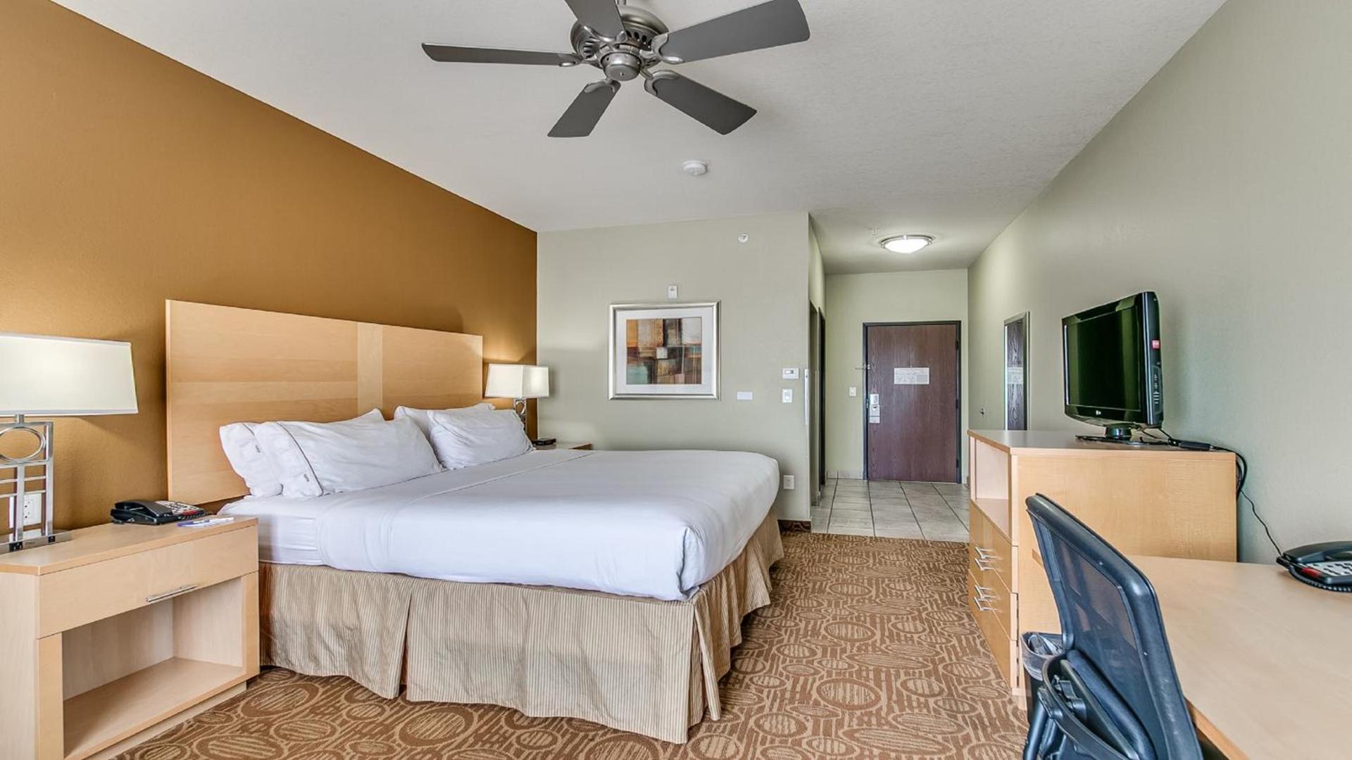 Holiday Inn Express & Suites Lubbock Southwest – Wolfforth by IHG photo 34