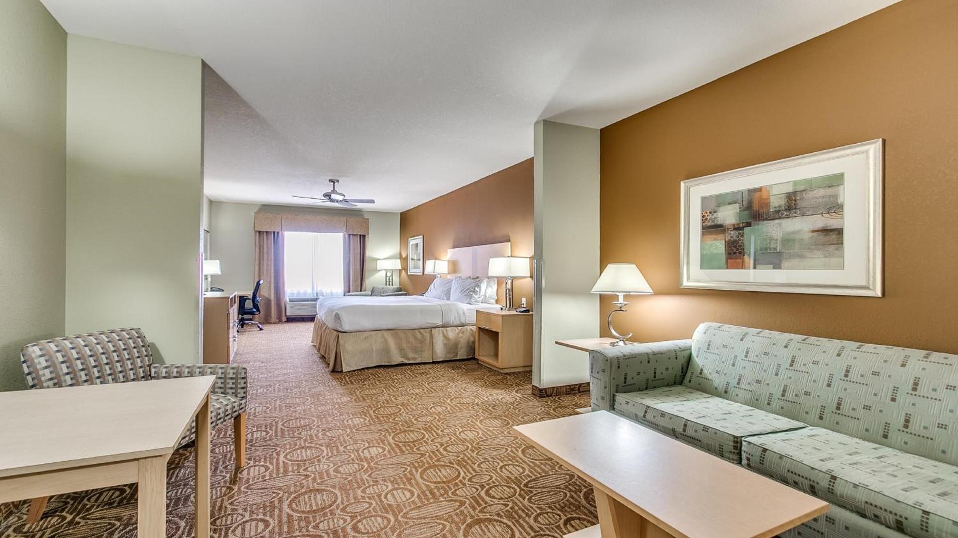 Holiday Inn Express & Suites Lubbock Southwest – Wolfforth by IHG photo 42
