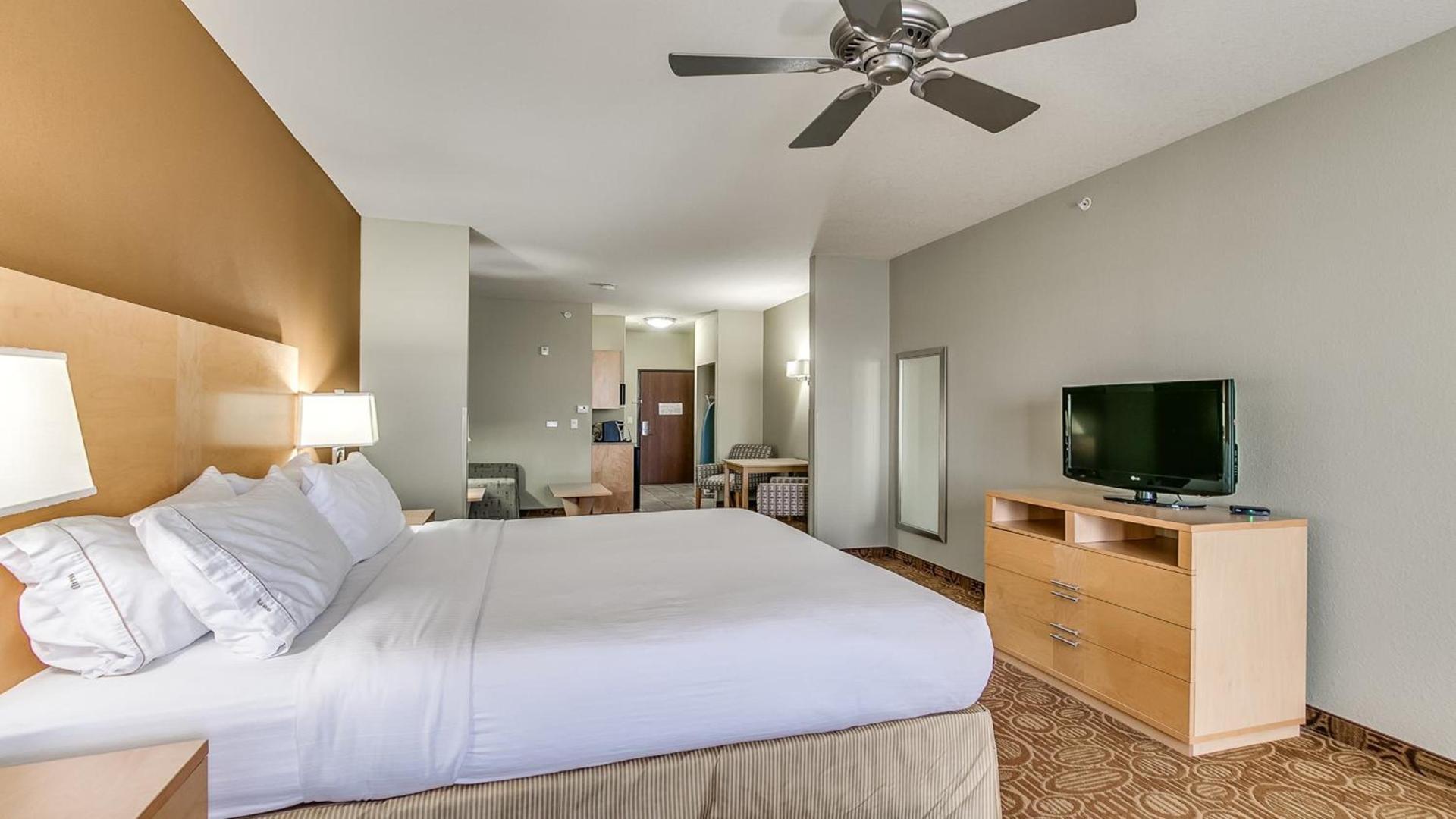 Holiday Inn Express & Suites Lubbock Southwest – Wolfforth by IHG photo 38