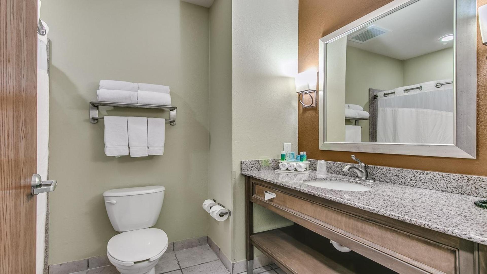Holiday Inn Express & Suites Lubbock Southwest – Wolfforth by IHG photo 26