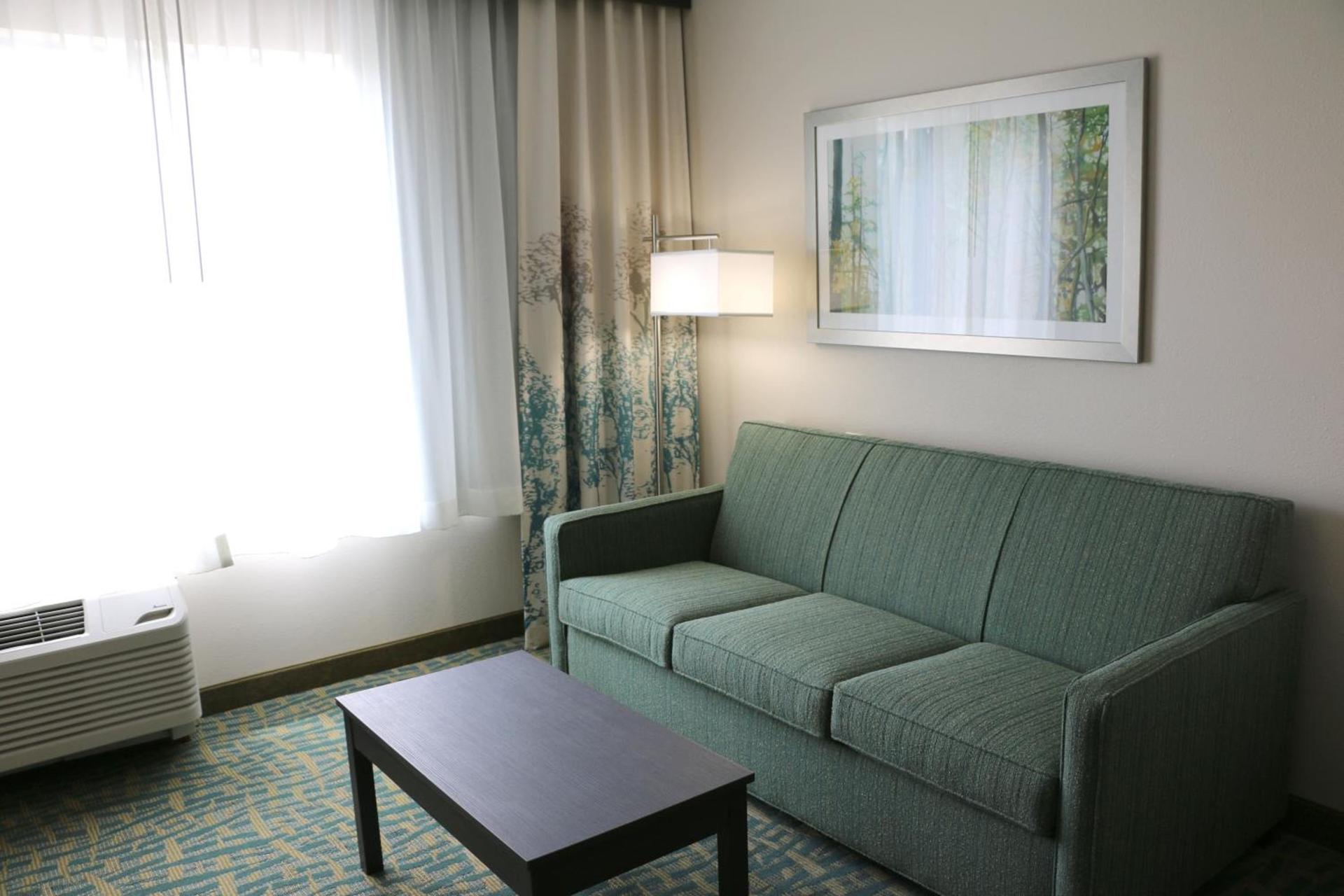 Holiday Inn Express & Suites - Hendersonville SE - Flat Rock by IHG photo 34