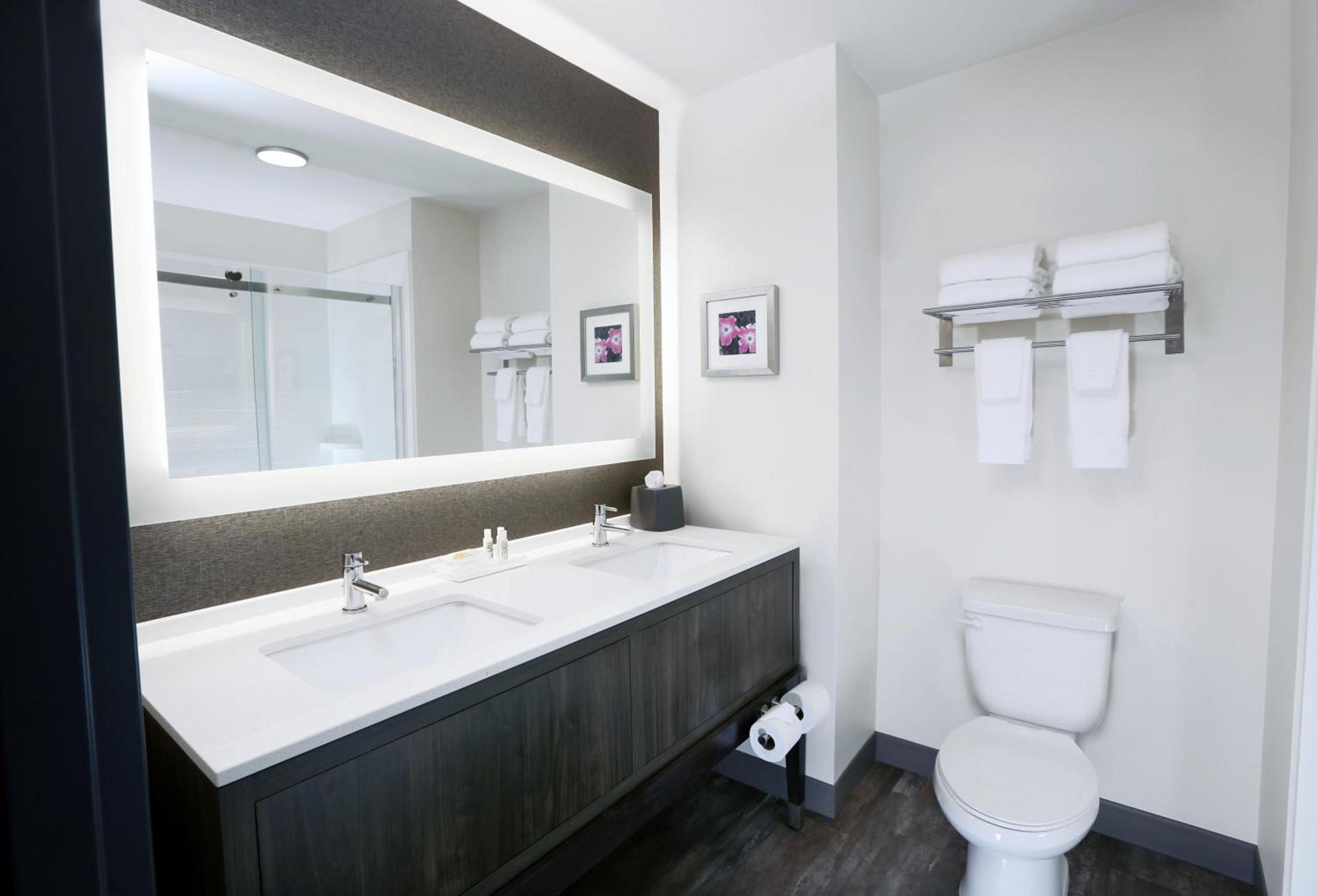 Holiday Inn & Suites Sioux Falls - Airport by IHG photo 19