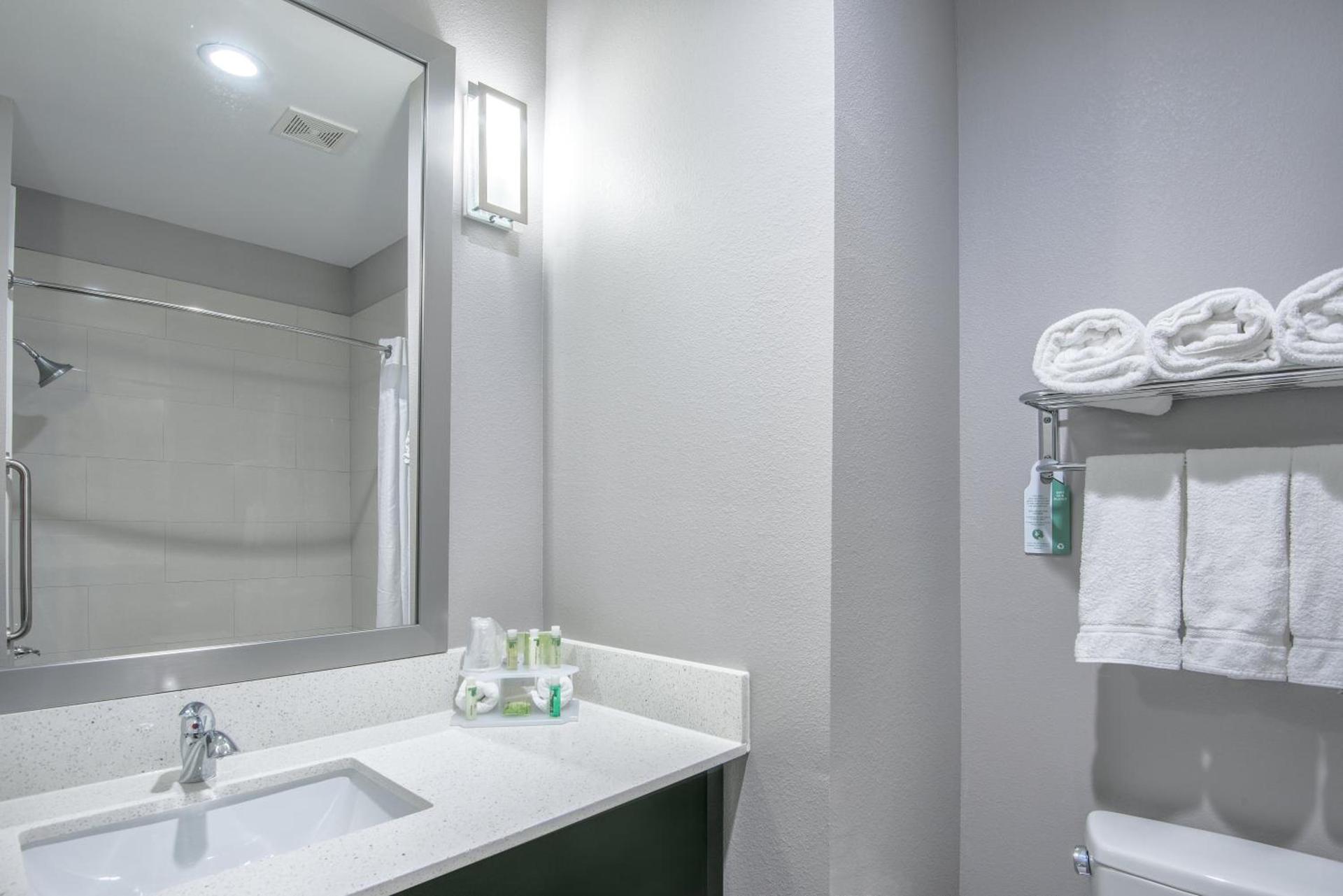 Holiday Inn Express and Suites Houston North - IAH Area by IHG photo 21