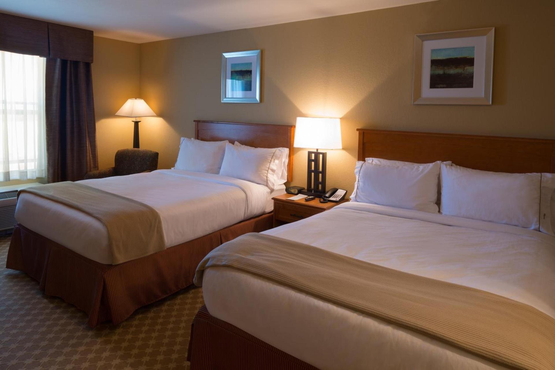 Holiday Inn Express Hotel & Suites Chicago West Roselle by IHG photo 43