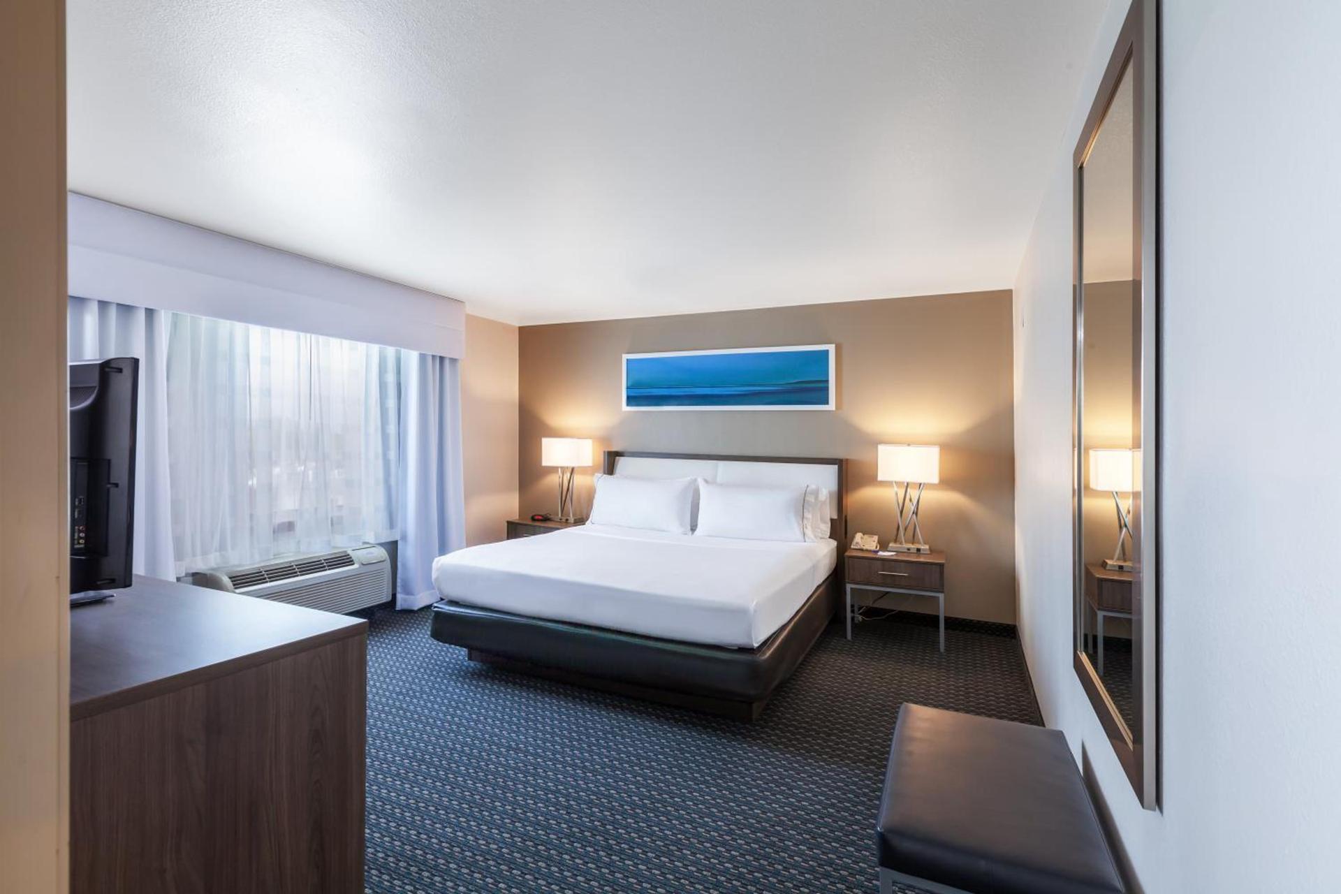 Holiday Inn Express & Suites - Pharr by IHG photo 8